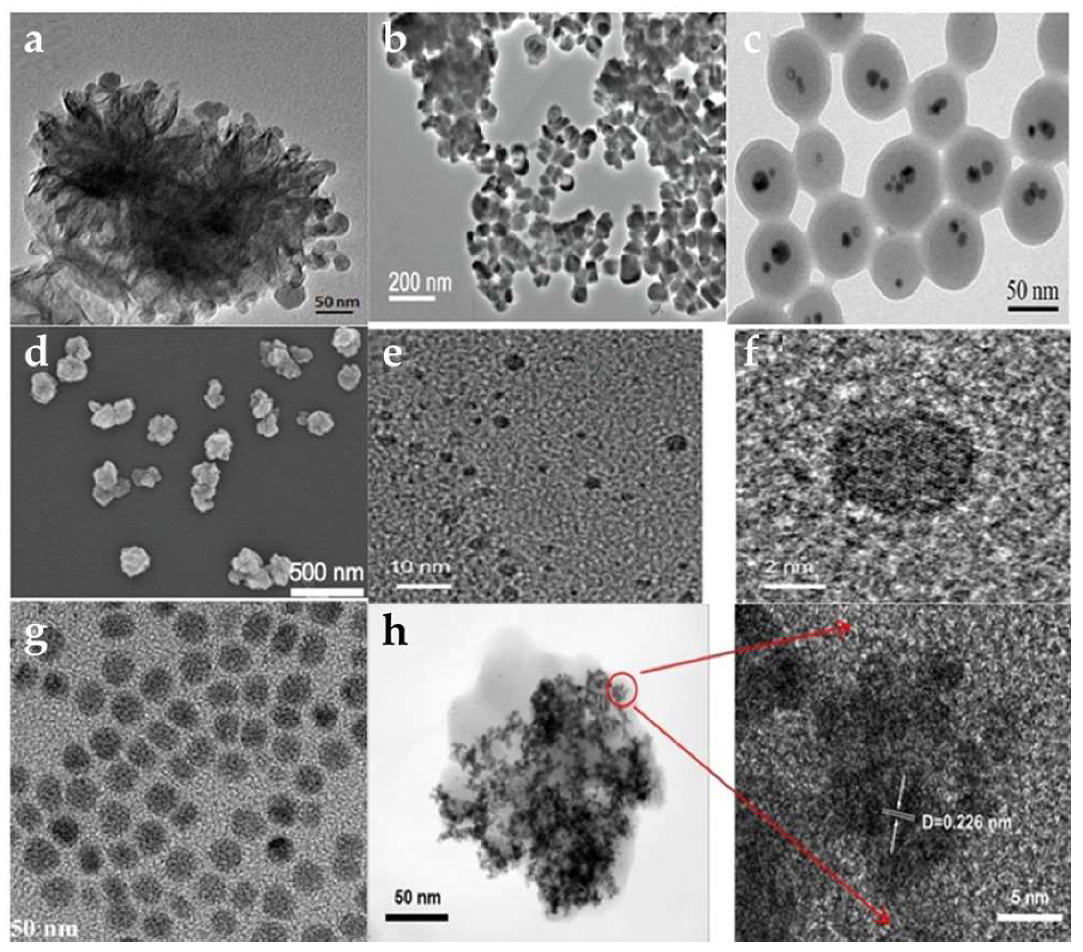 Pharmaceutics 15 02293 g008