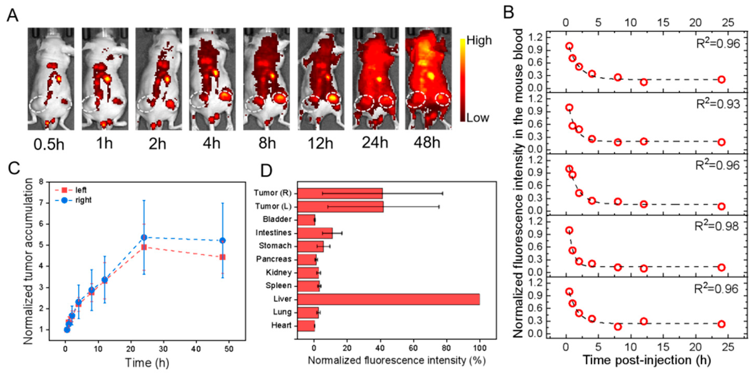 Pharmaceutics 15 02297 g003