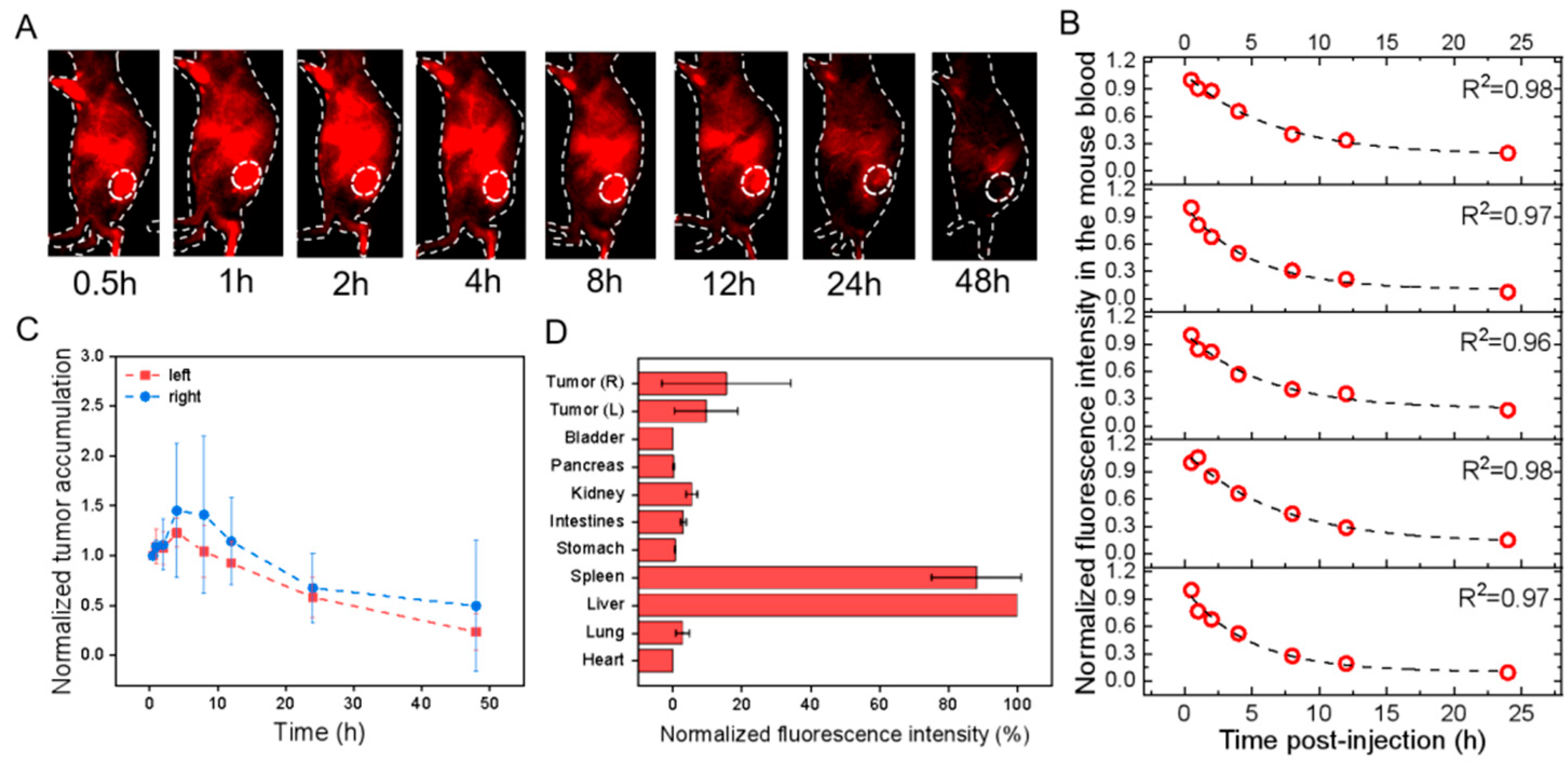 Pharmaceutics 15 02297 g005