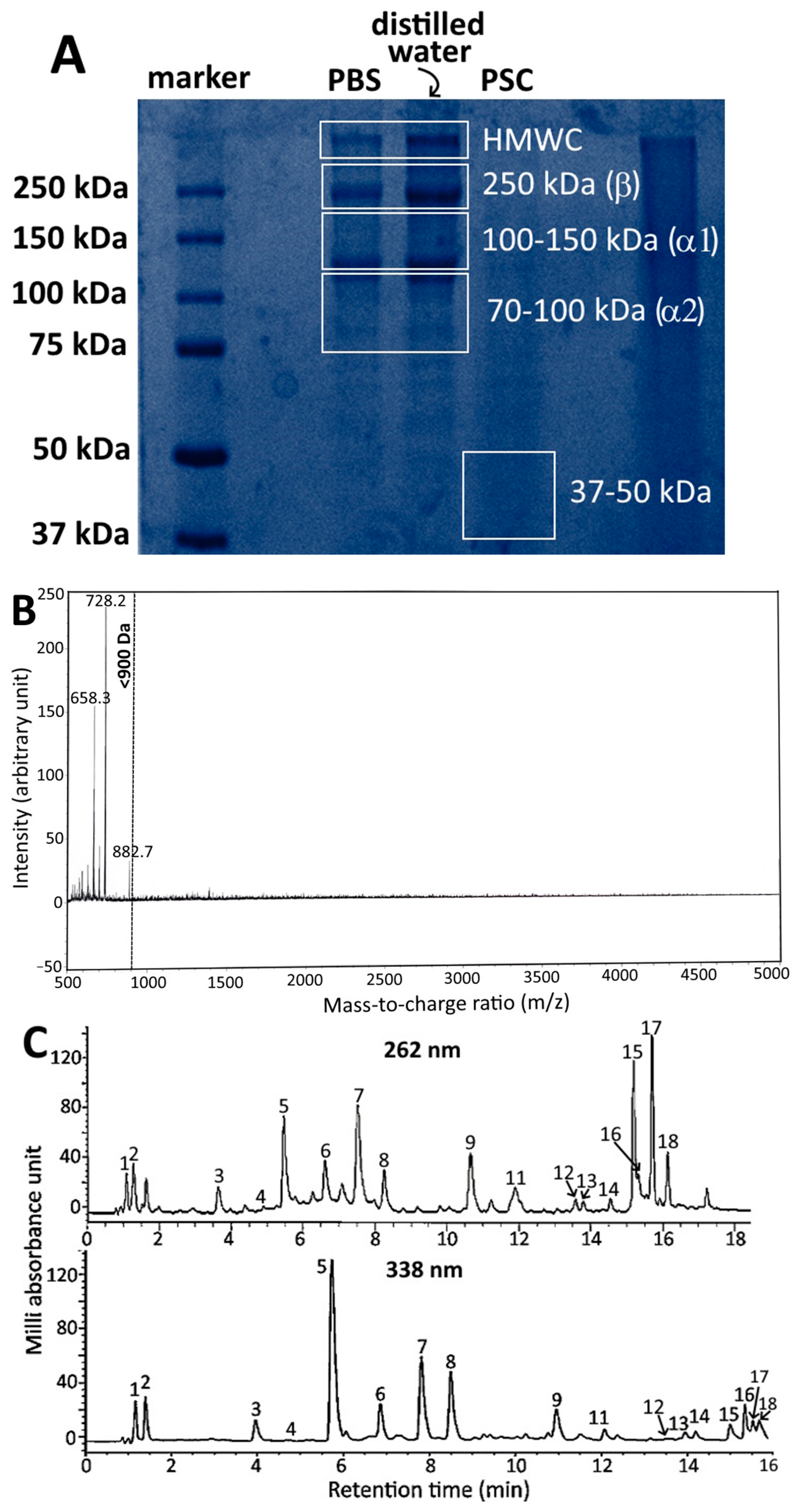 Pharmaceutics 15 02304 g001