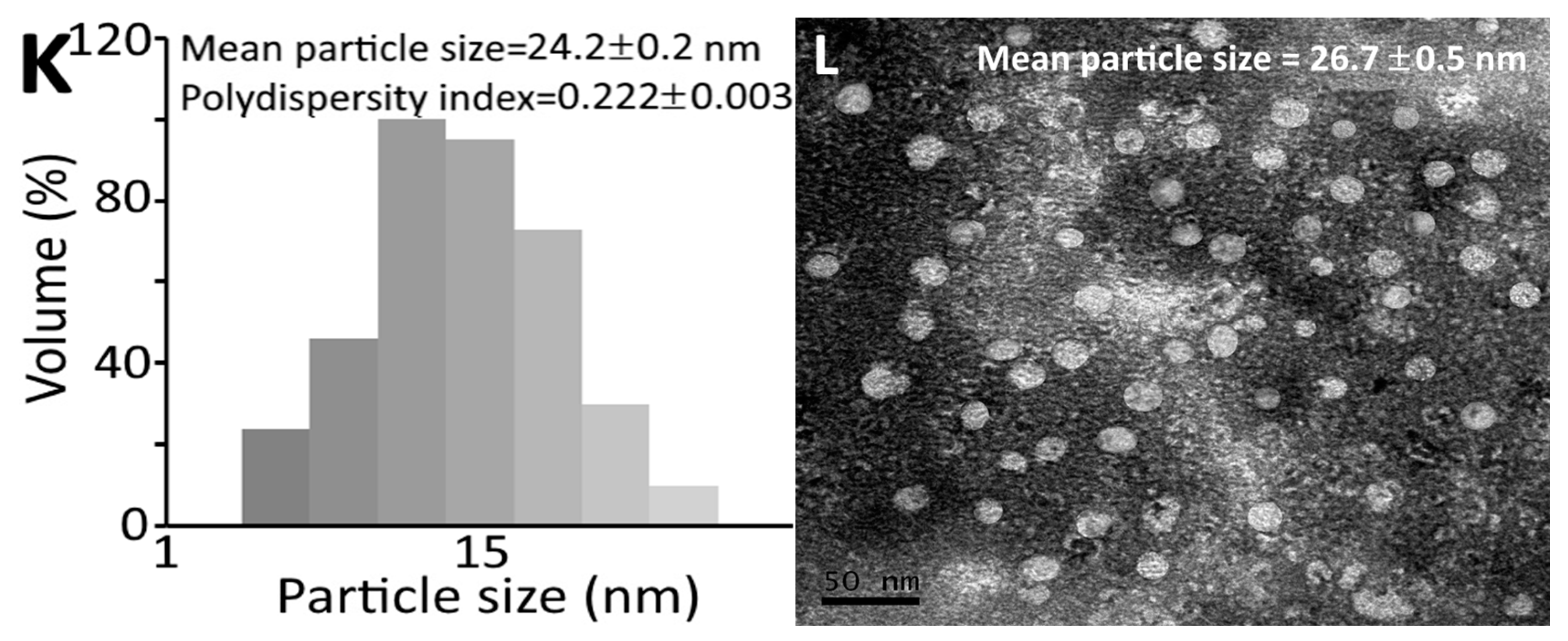 Pharmaceutics 15 02304 g002b