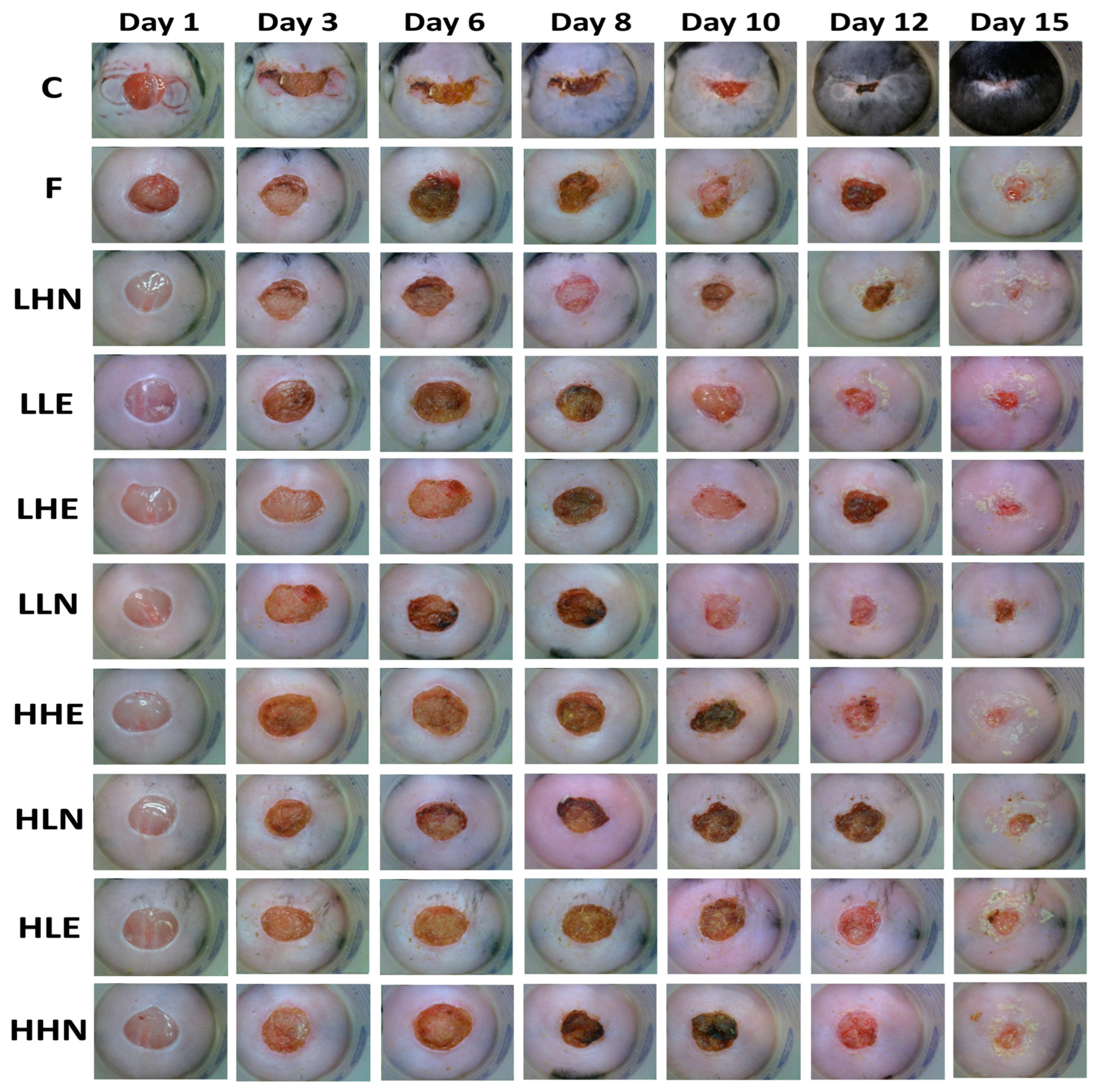 Pharmaceutics 15 02304 g003