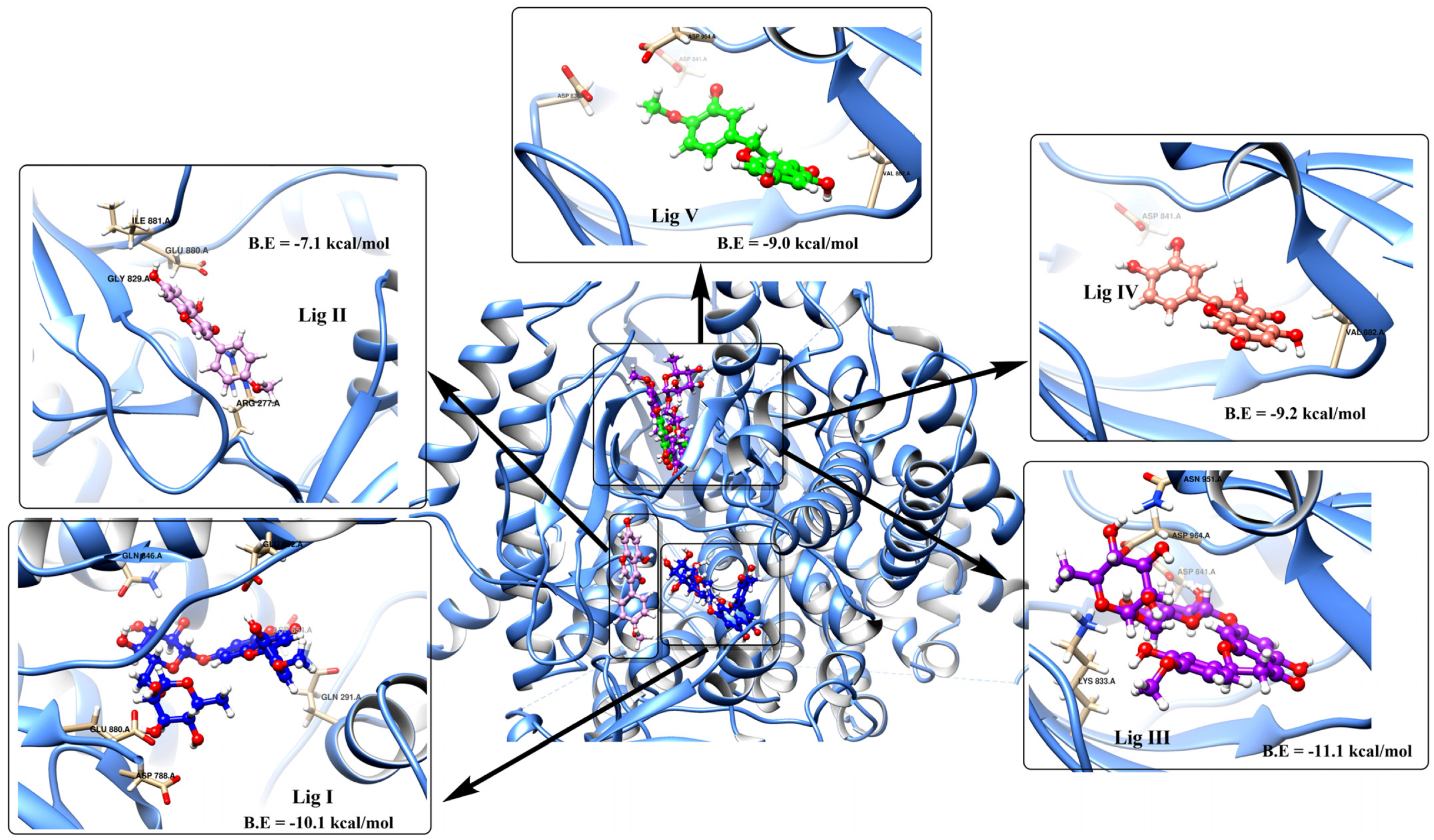 Pharmaceutics 15 02306 g002