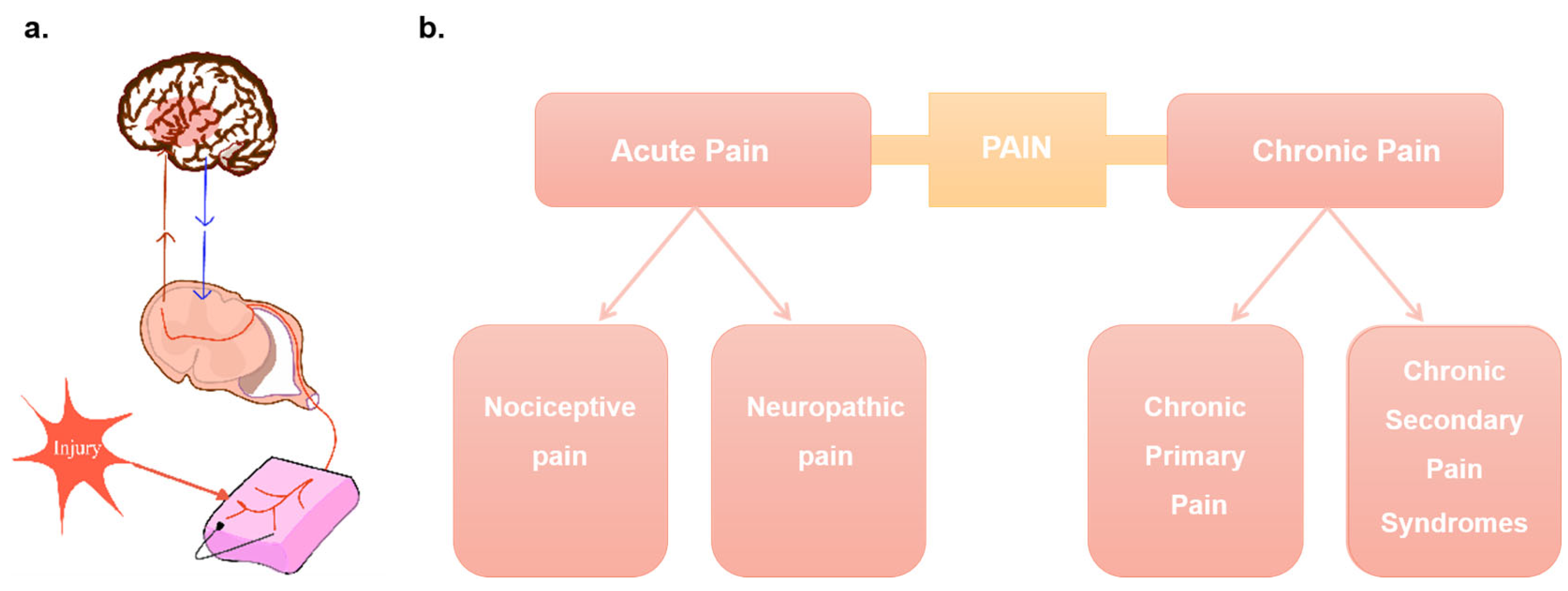 Pharmaceutics 15 02309 g002