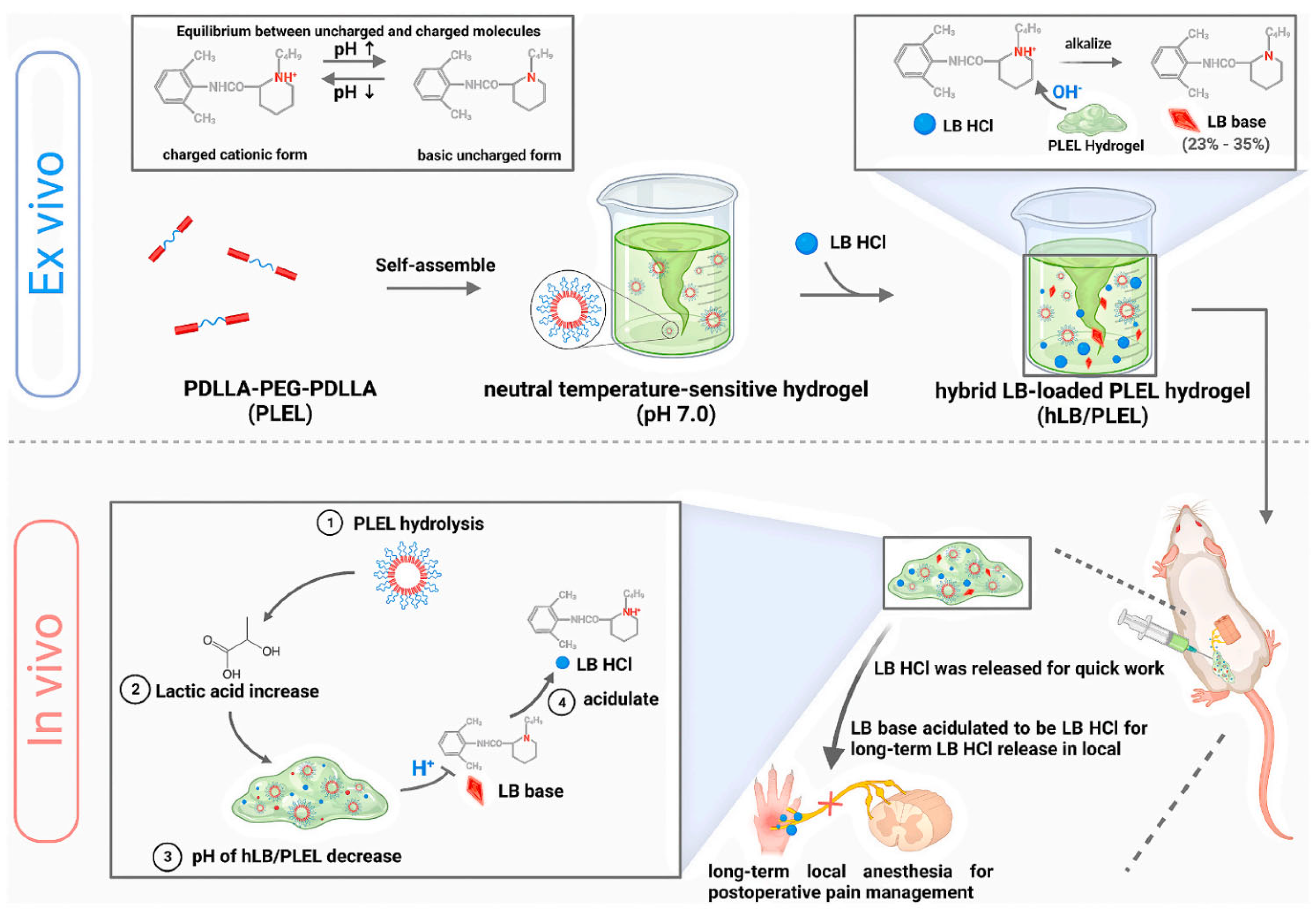Pharmaceutics 15 02309 g003