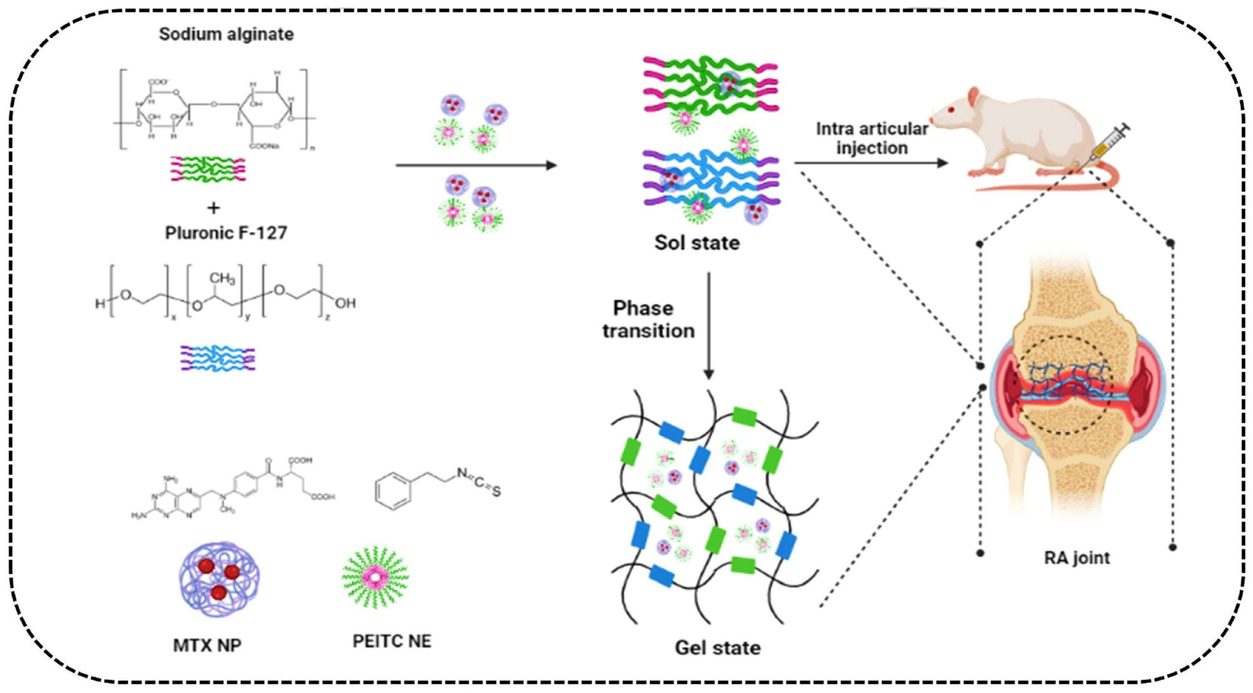Pharmaceutics 15 02309 g005