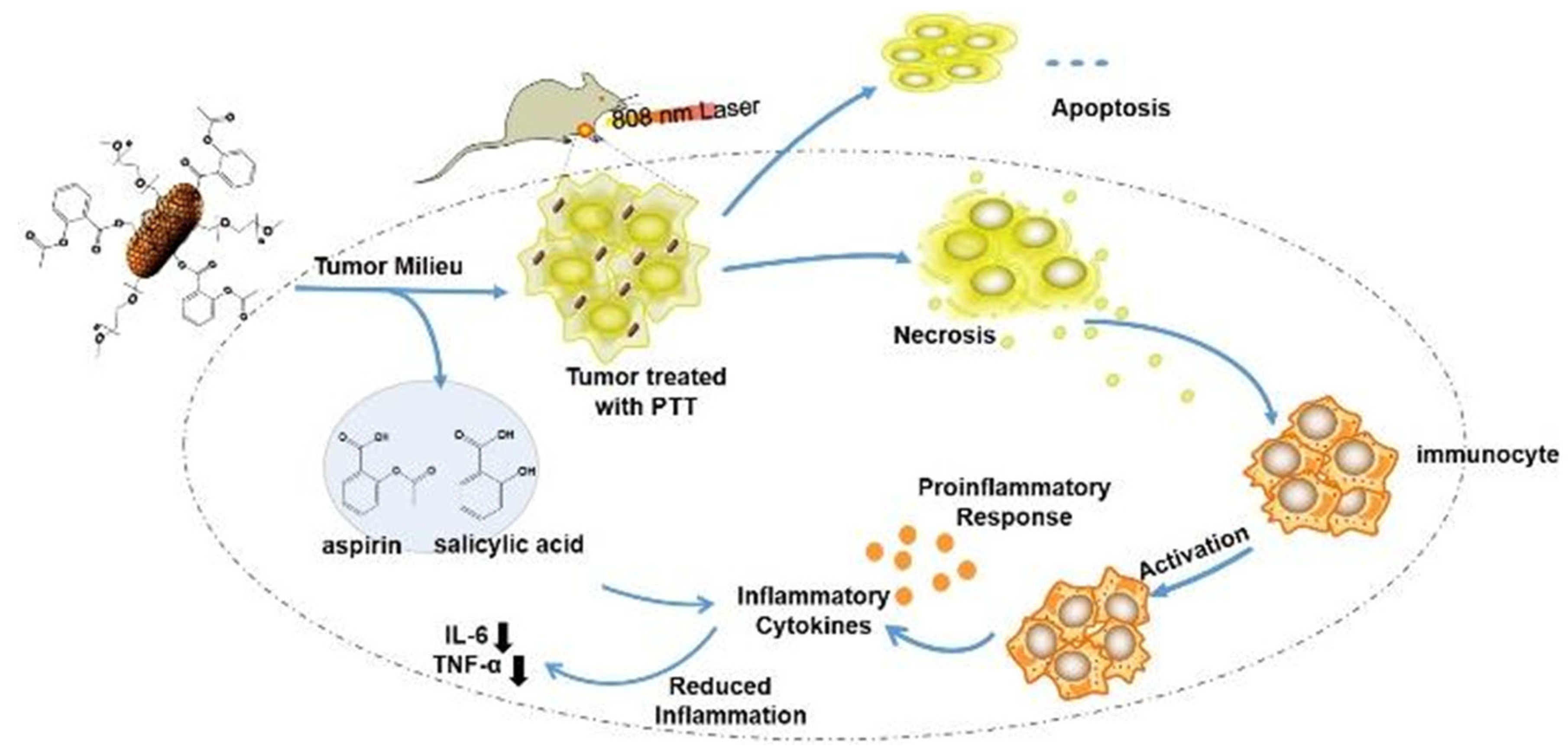 Pharmaceutics 15 02309 g006