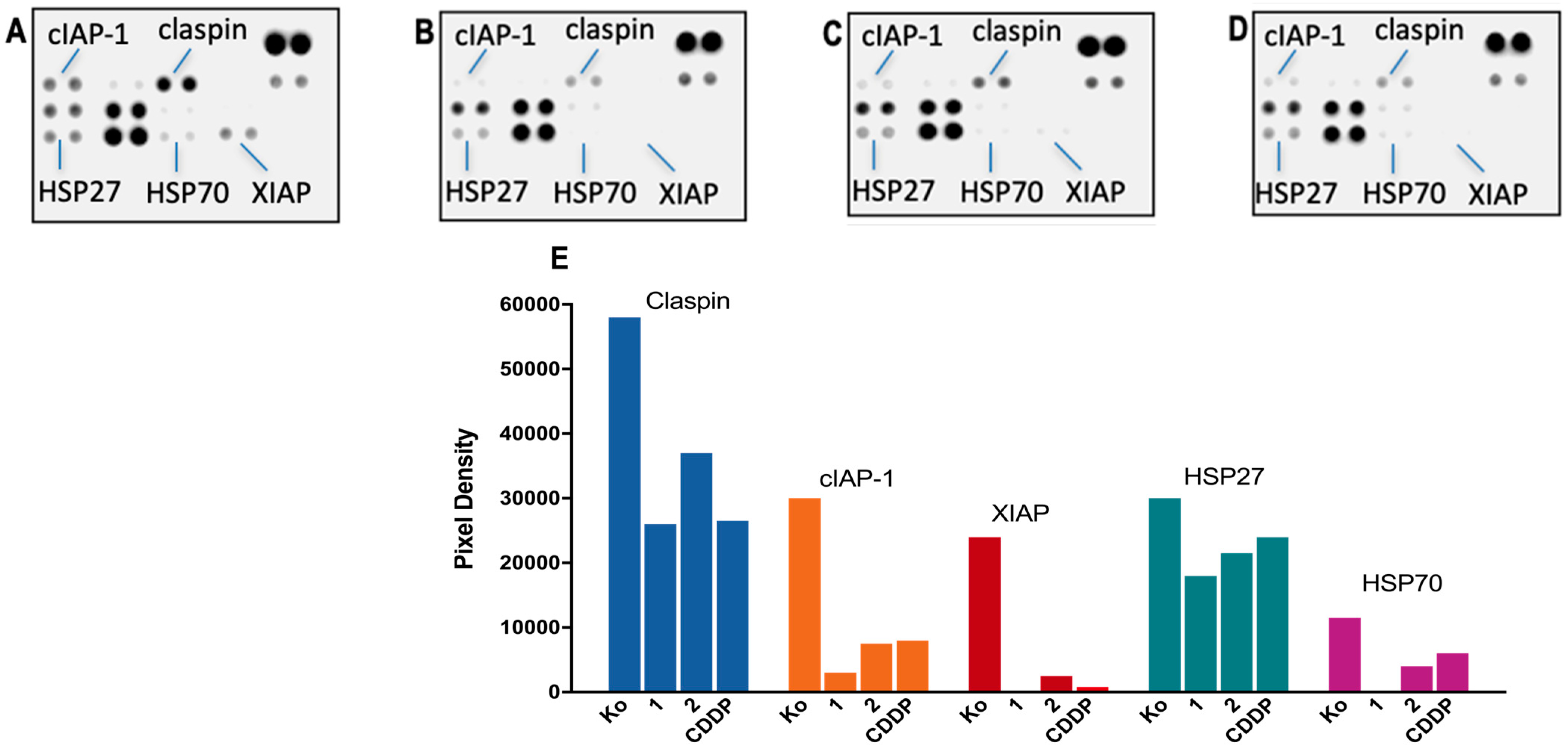 Pharmaceutics 15 02310 g005