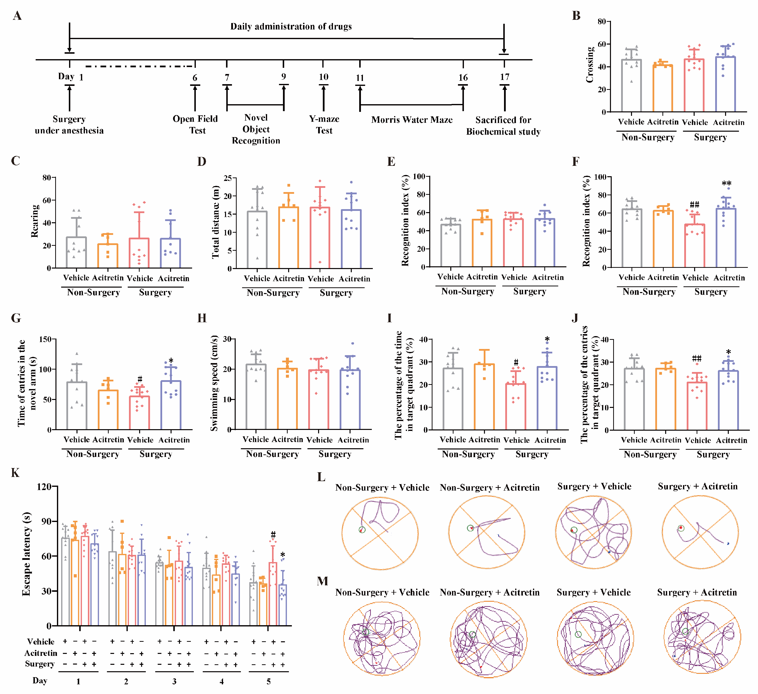 Pharmaceutics 15 02311 g002