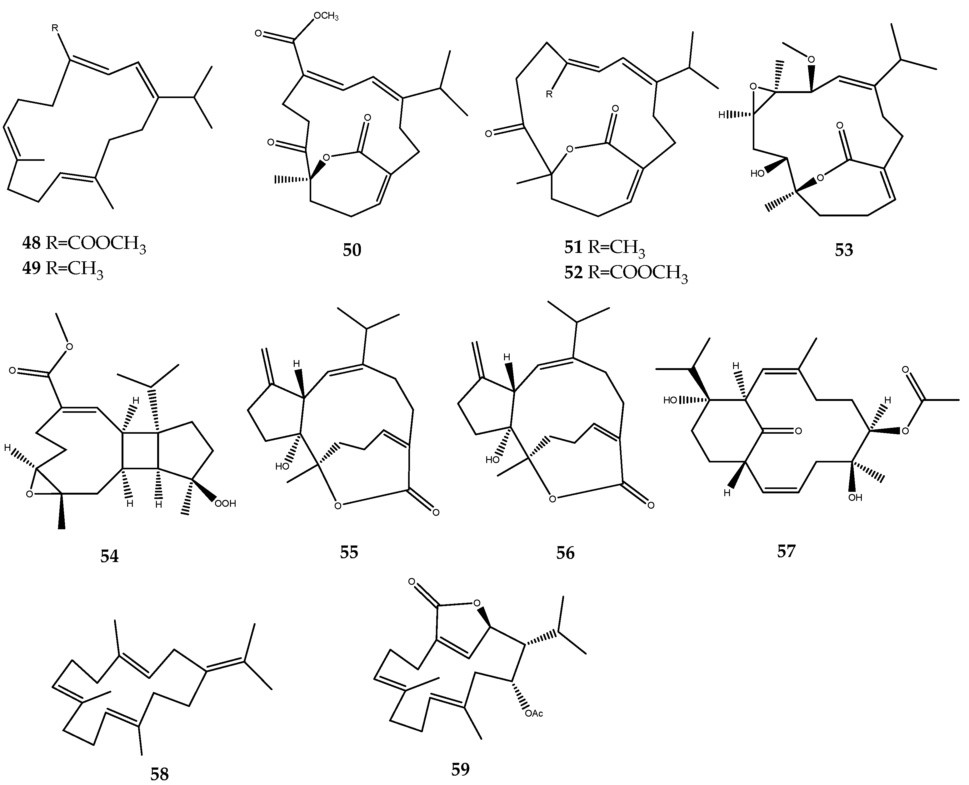 Pharmaceutics 15 02321 g012