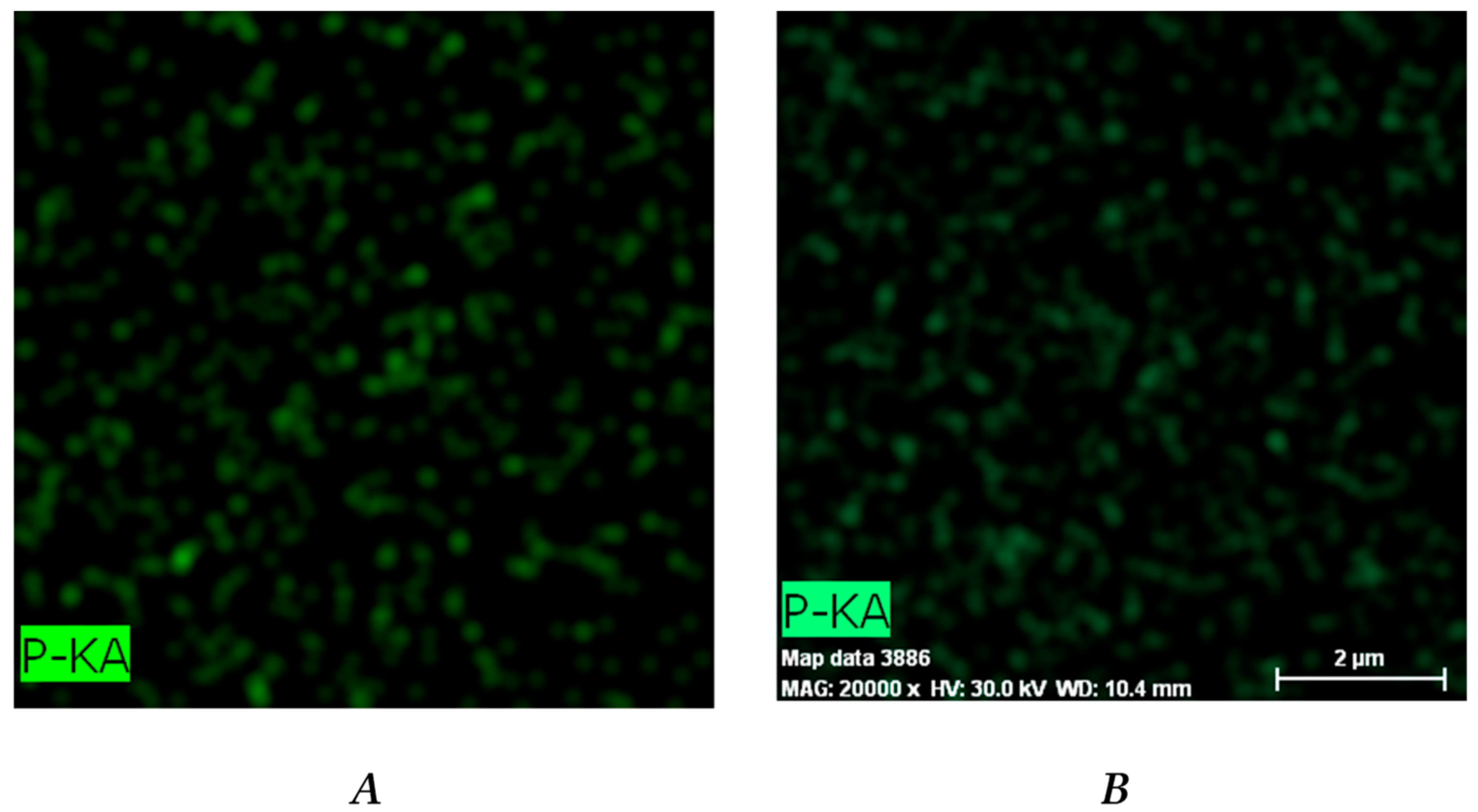 Pharmaceutics 15 02328 g006a