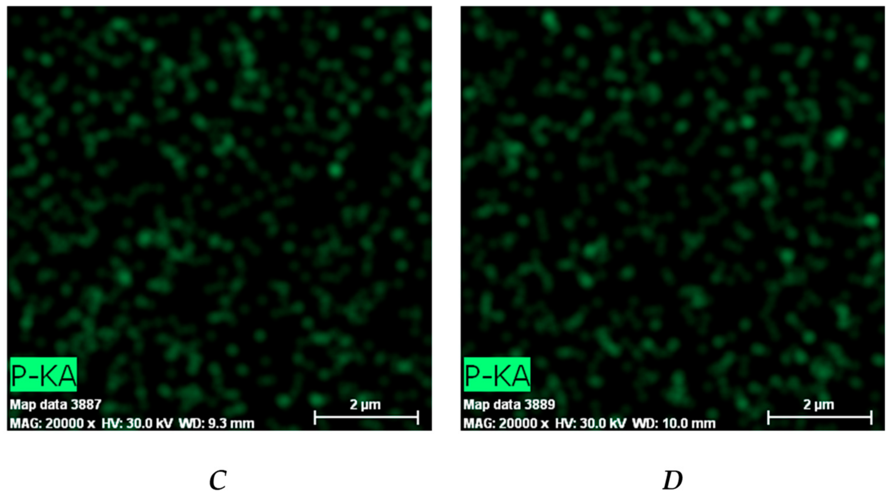Pharmaceutics 15 02328 g006b