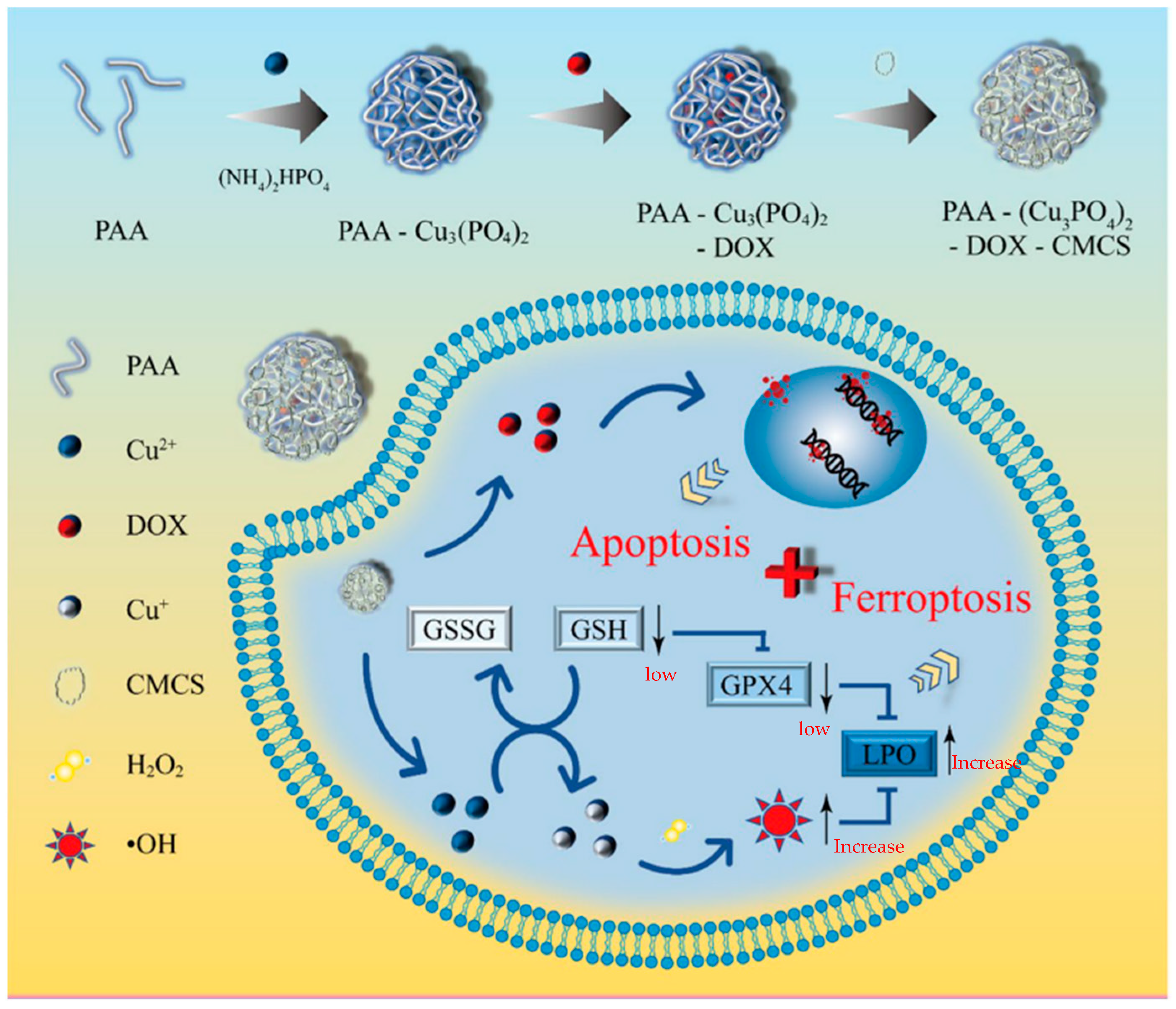 Pharmaceutics 15 02337 g005