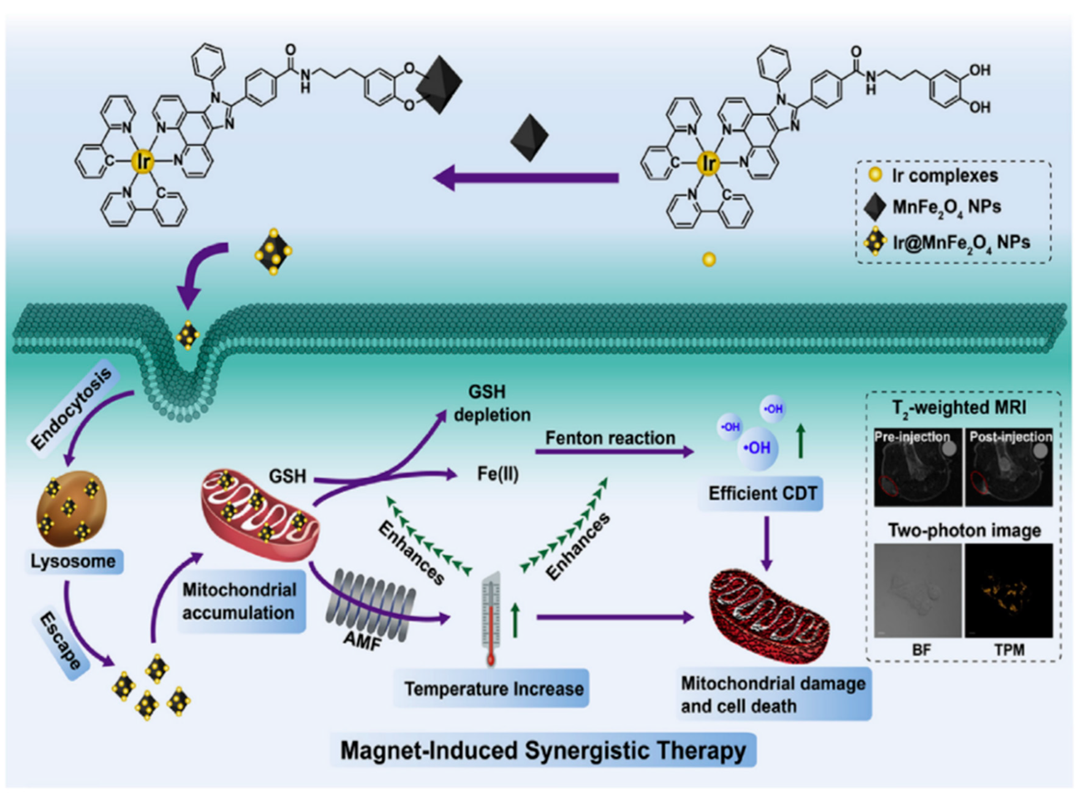 Pharmaceutics 15 02337 g009