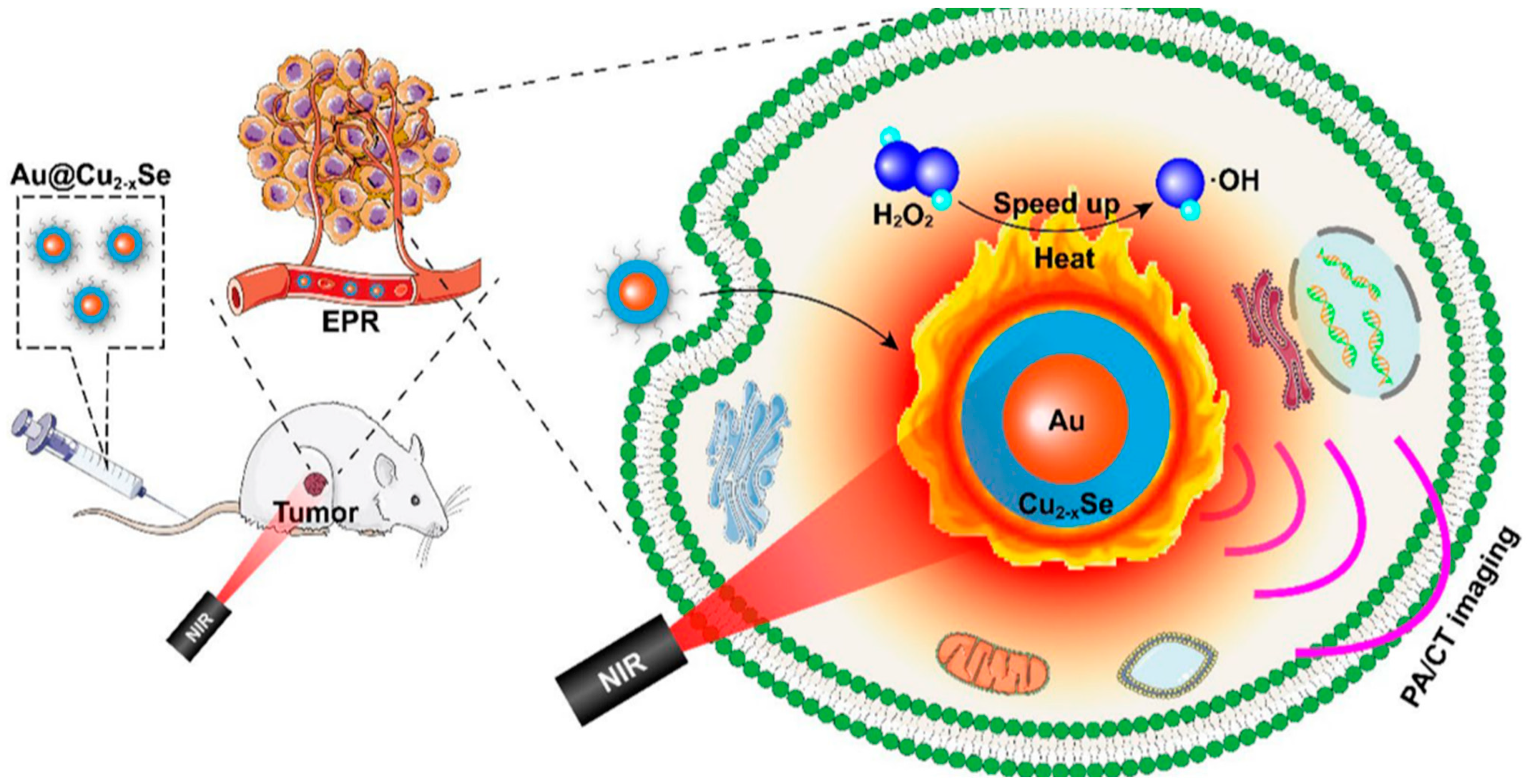 Pharmaceutics 15 02337 g012