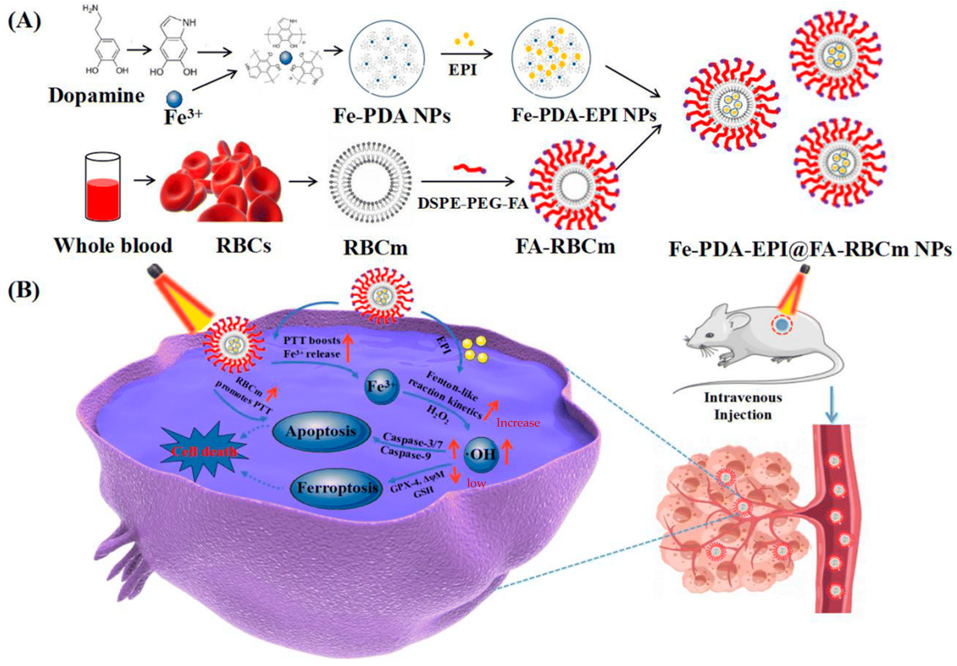 Pharmaceutics 15 02337 g014