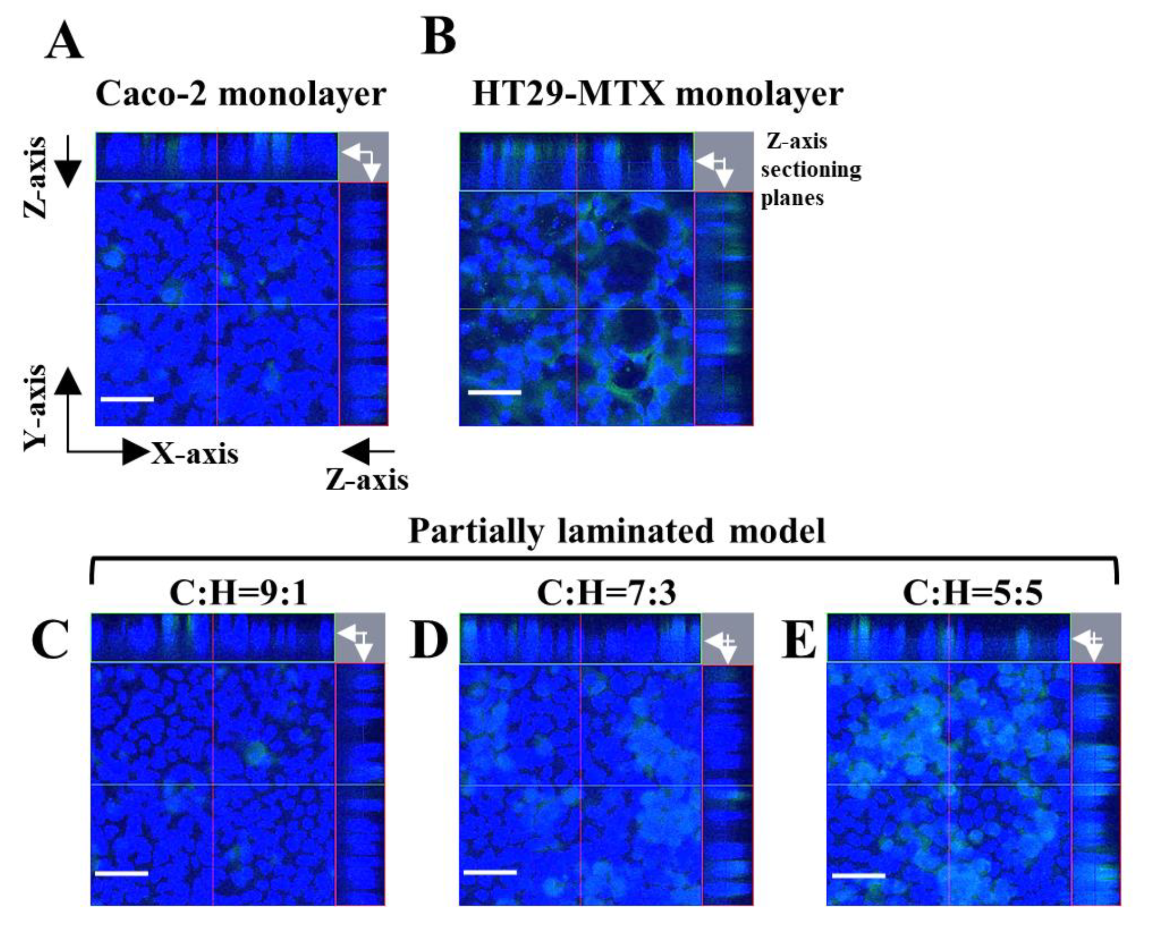 Pharmaceutics 15 02338 g005