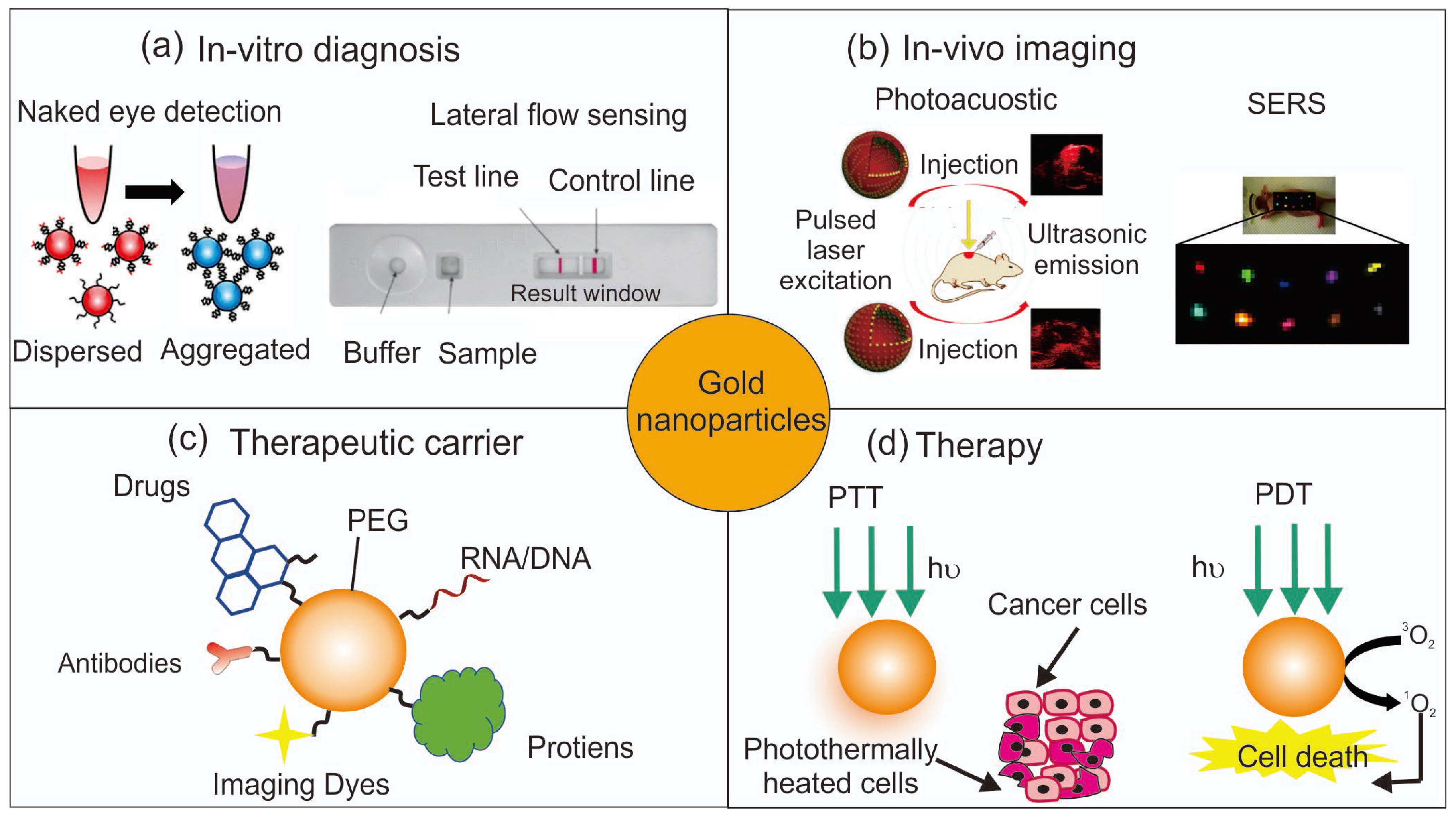 Pharmaceutics 15 02349 g001