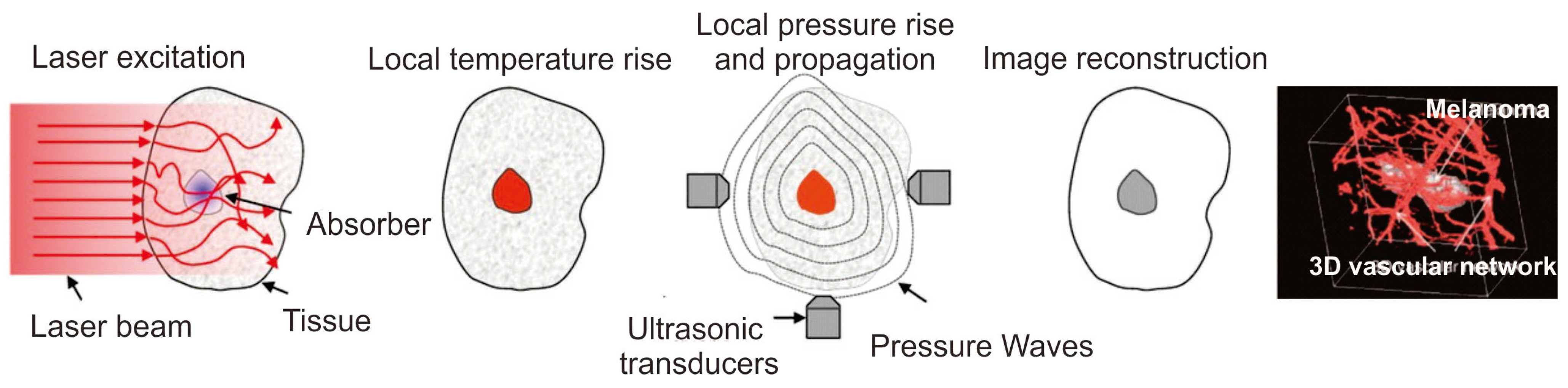 Pharmaceutics 15 02349 g005