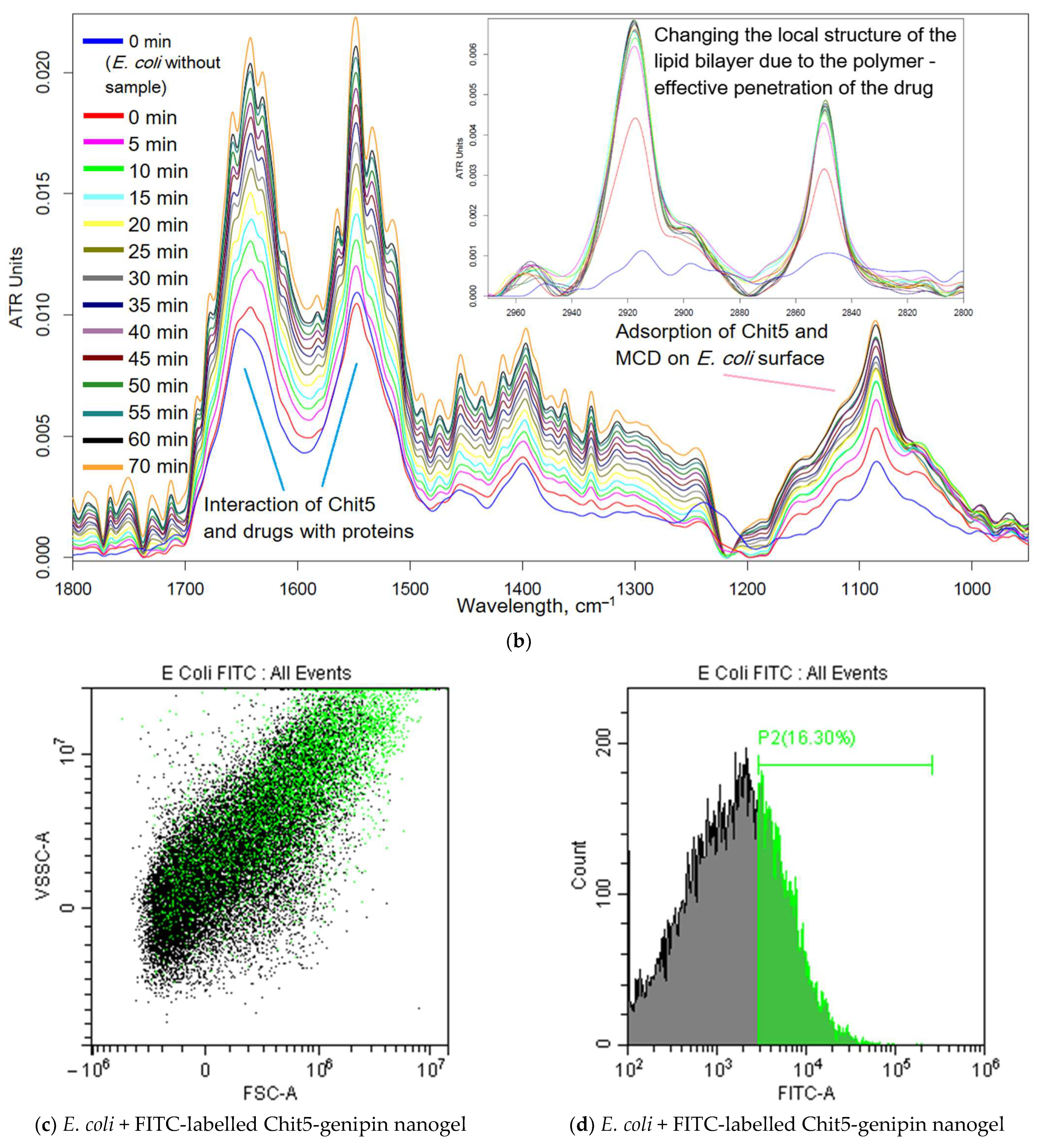 Pharmaceutics 15 02353 g004b