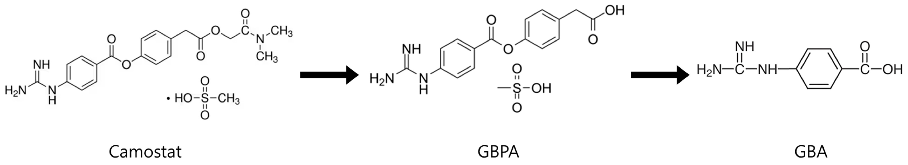 Pharmaceutics 15 02357 g001