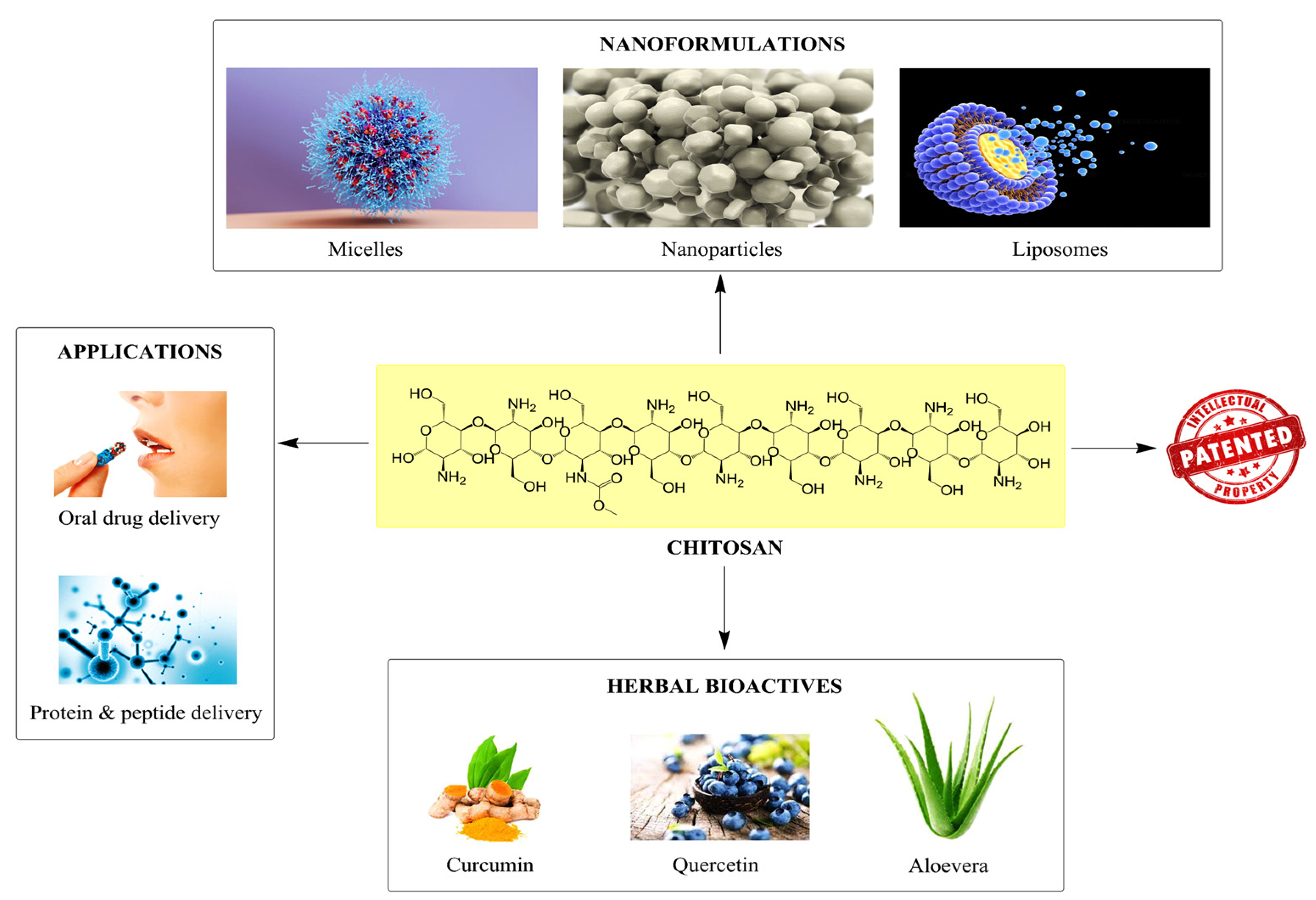 Pharmaceutics 15 02361 g001