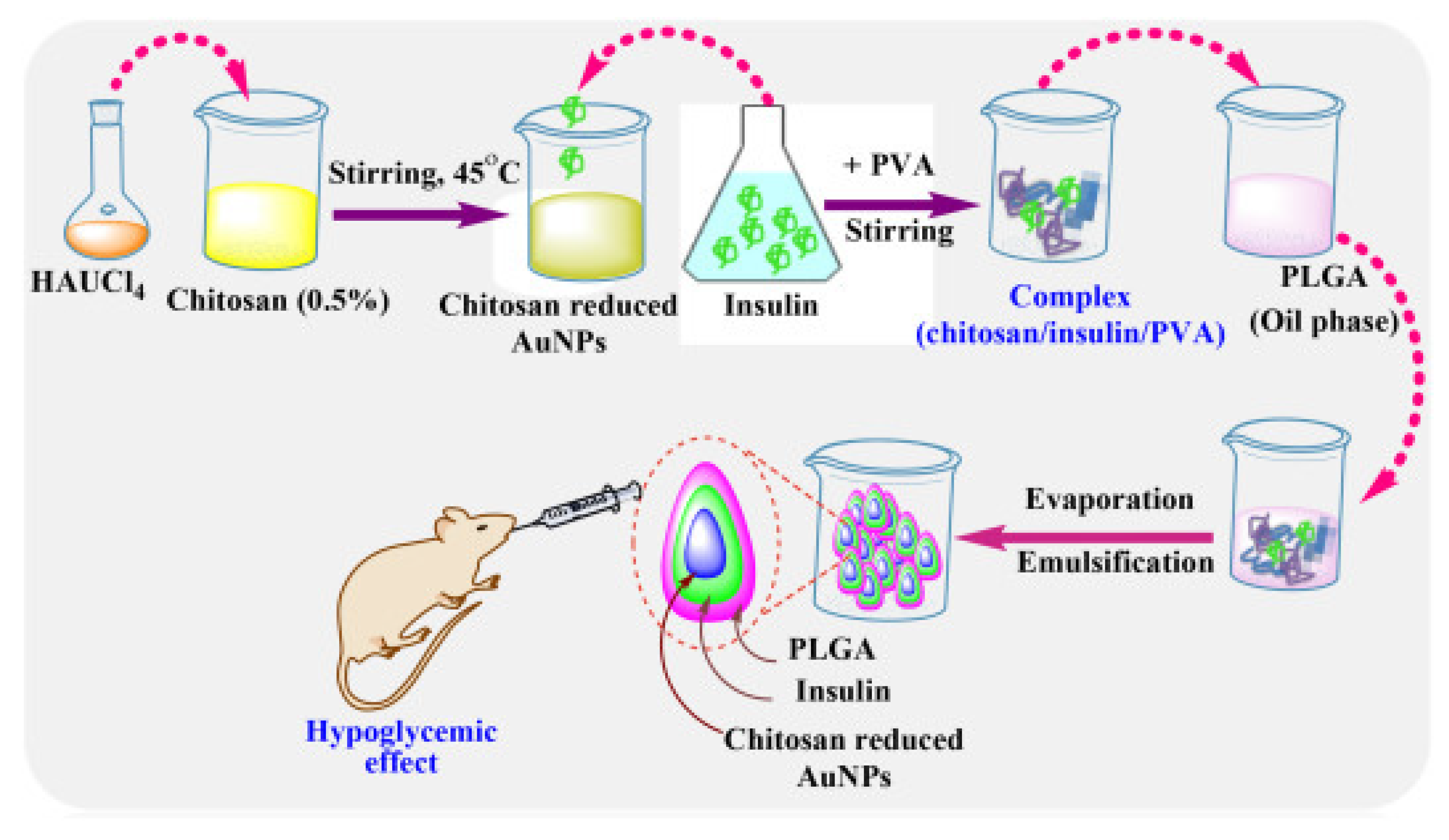 Pharmaceutics 15 02361 g002