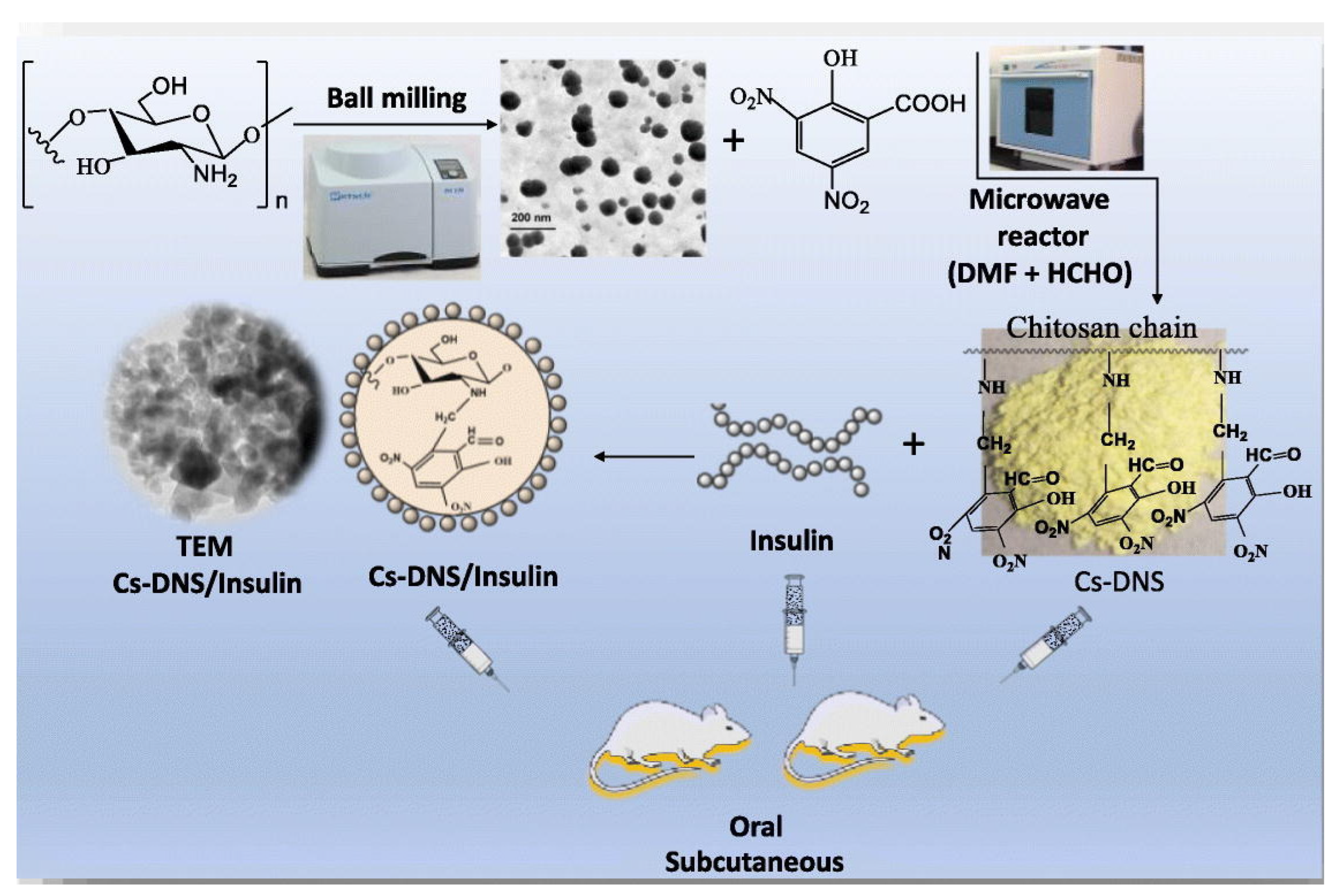 Pharmaceutics 15 02361 g003