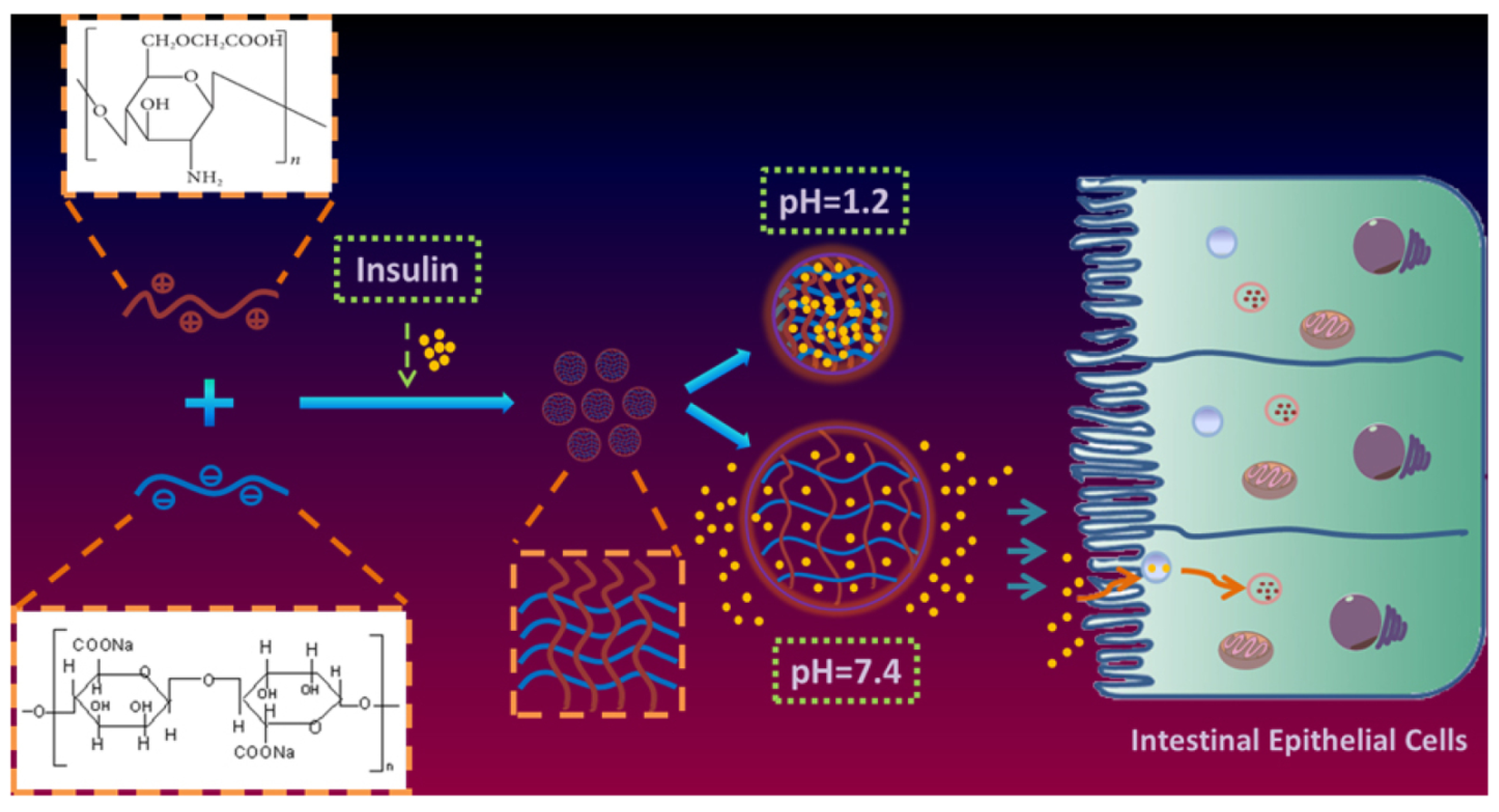 Pharmaceutics 15 02361 g004