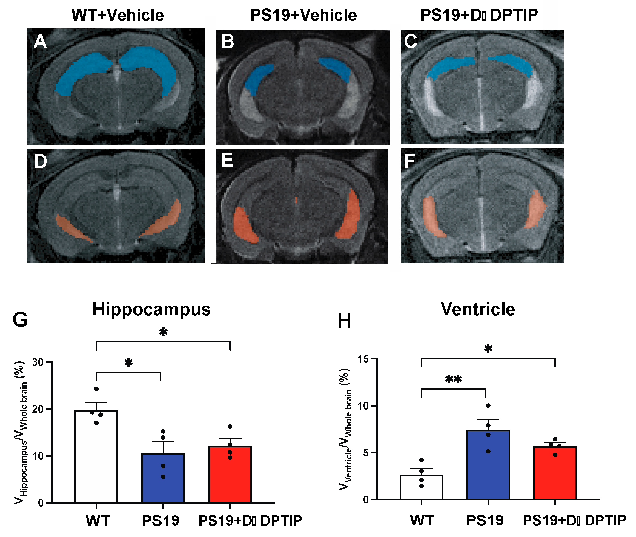 Pharmaceutics 15 02364 g002