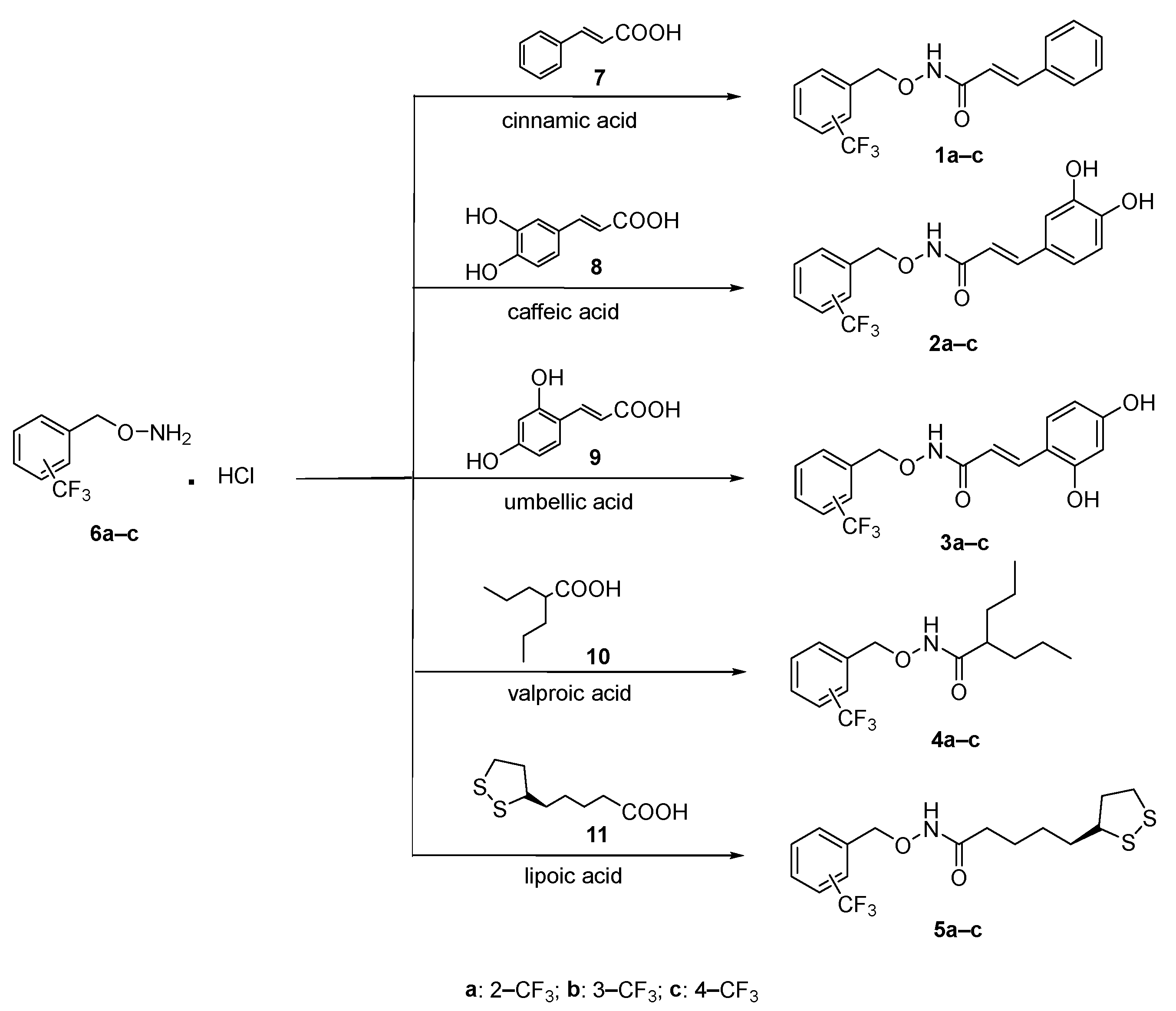 Pharmaceutics 15 02369 sch001