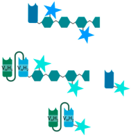 Pharmaceutics 15 02374 i001