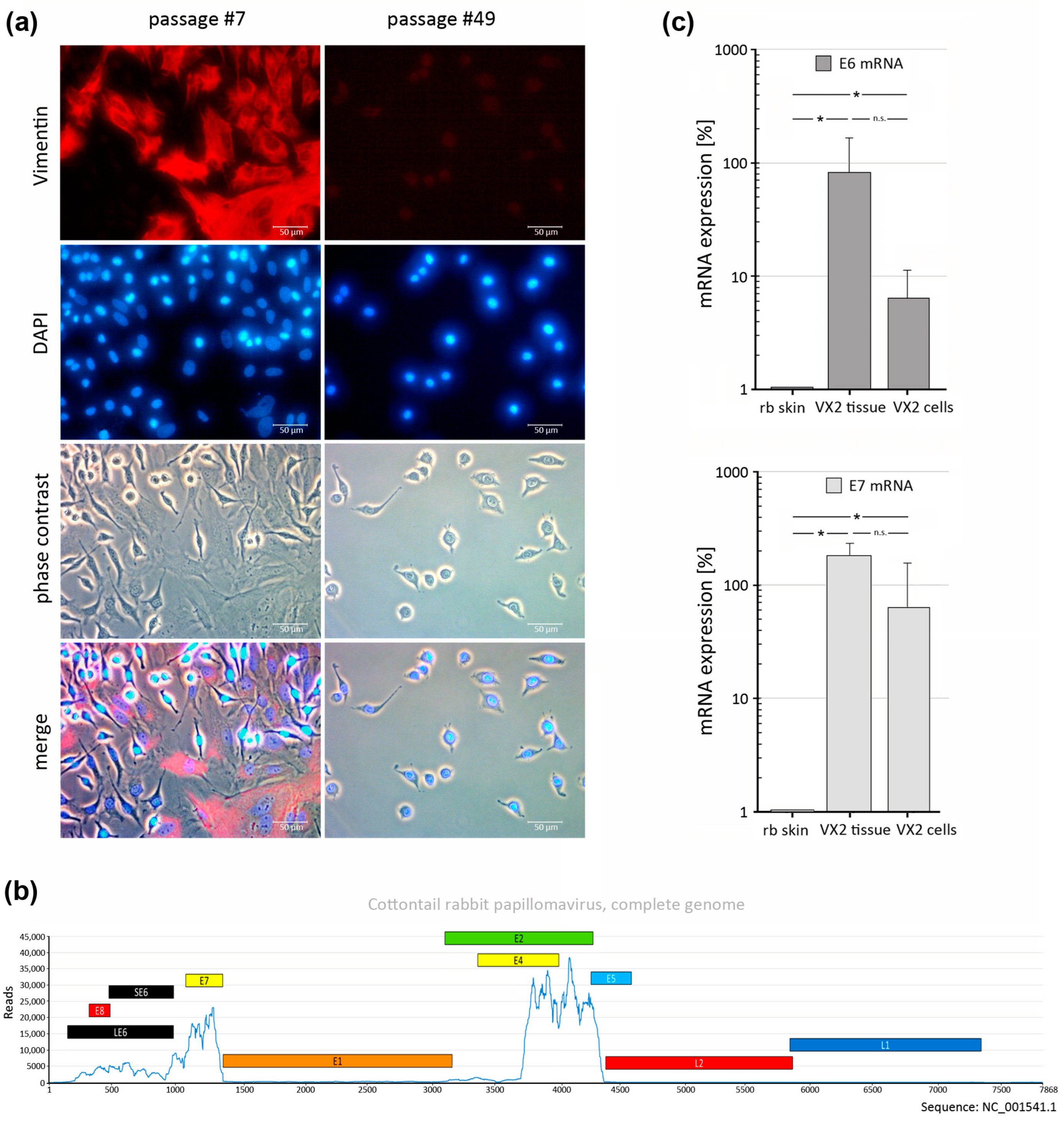 Pharmaceutics 15 02379 g001