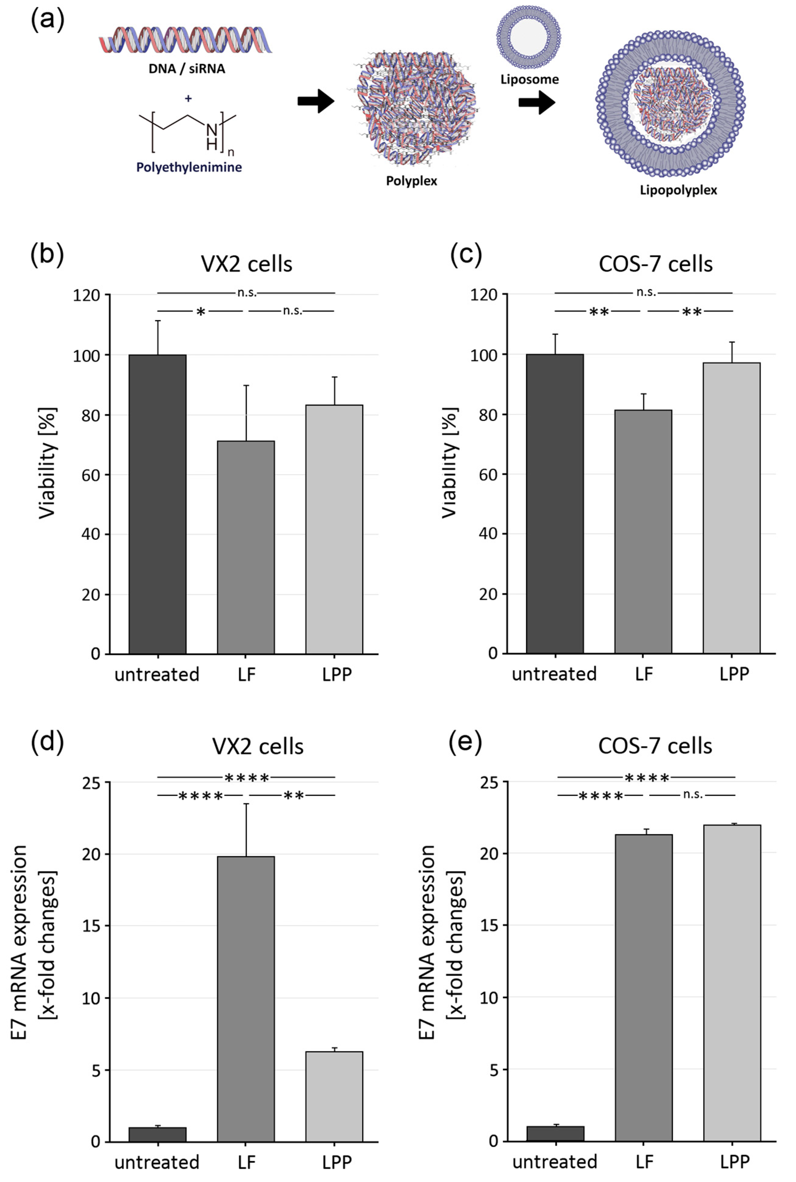 Pharmaceutics 15 02379 g002
