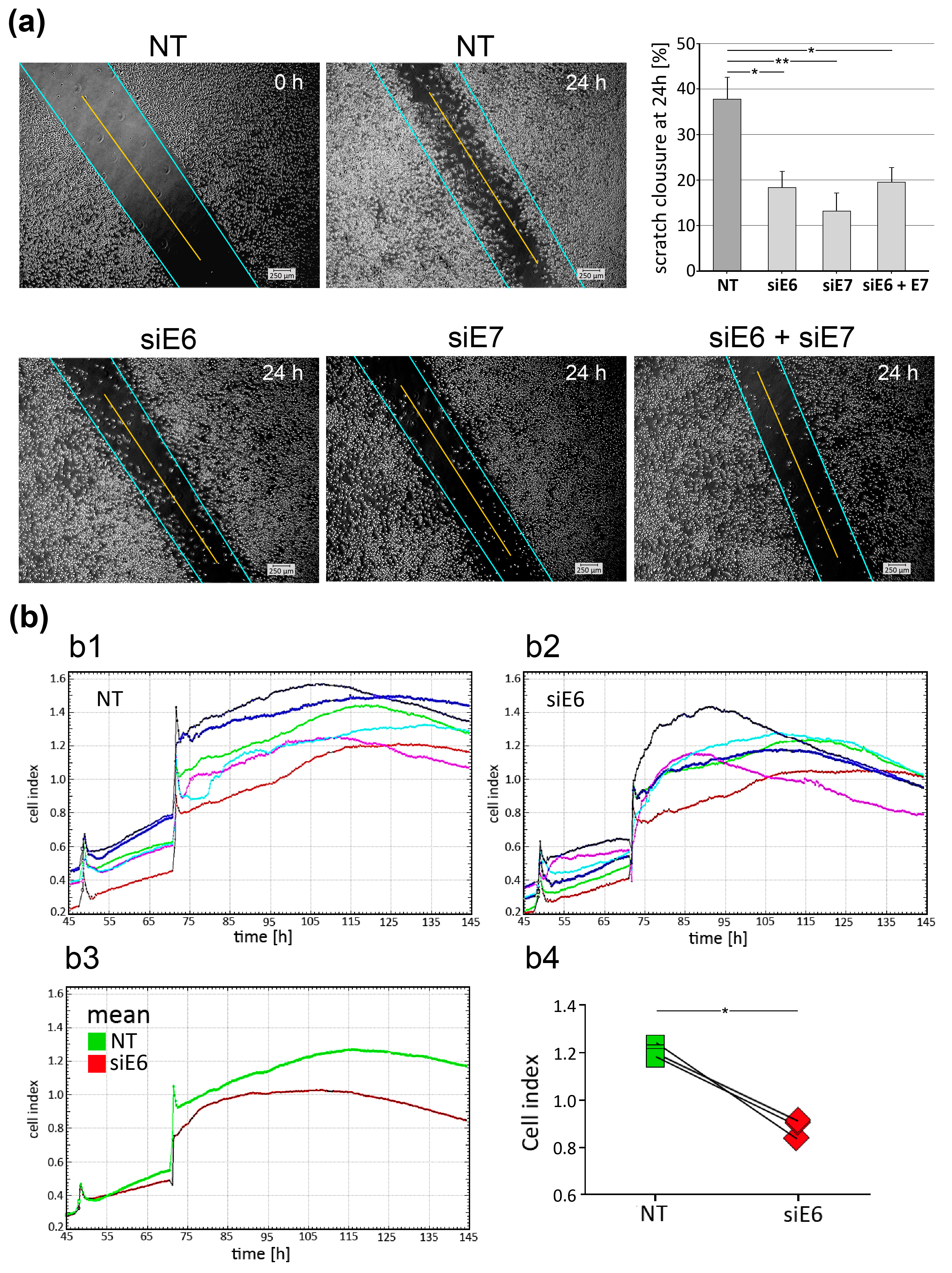 Pharmaceutics 15 02379 g005