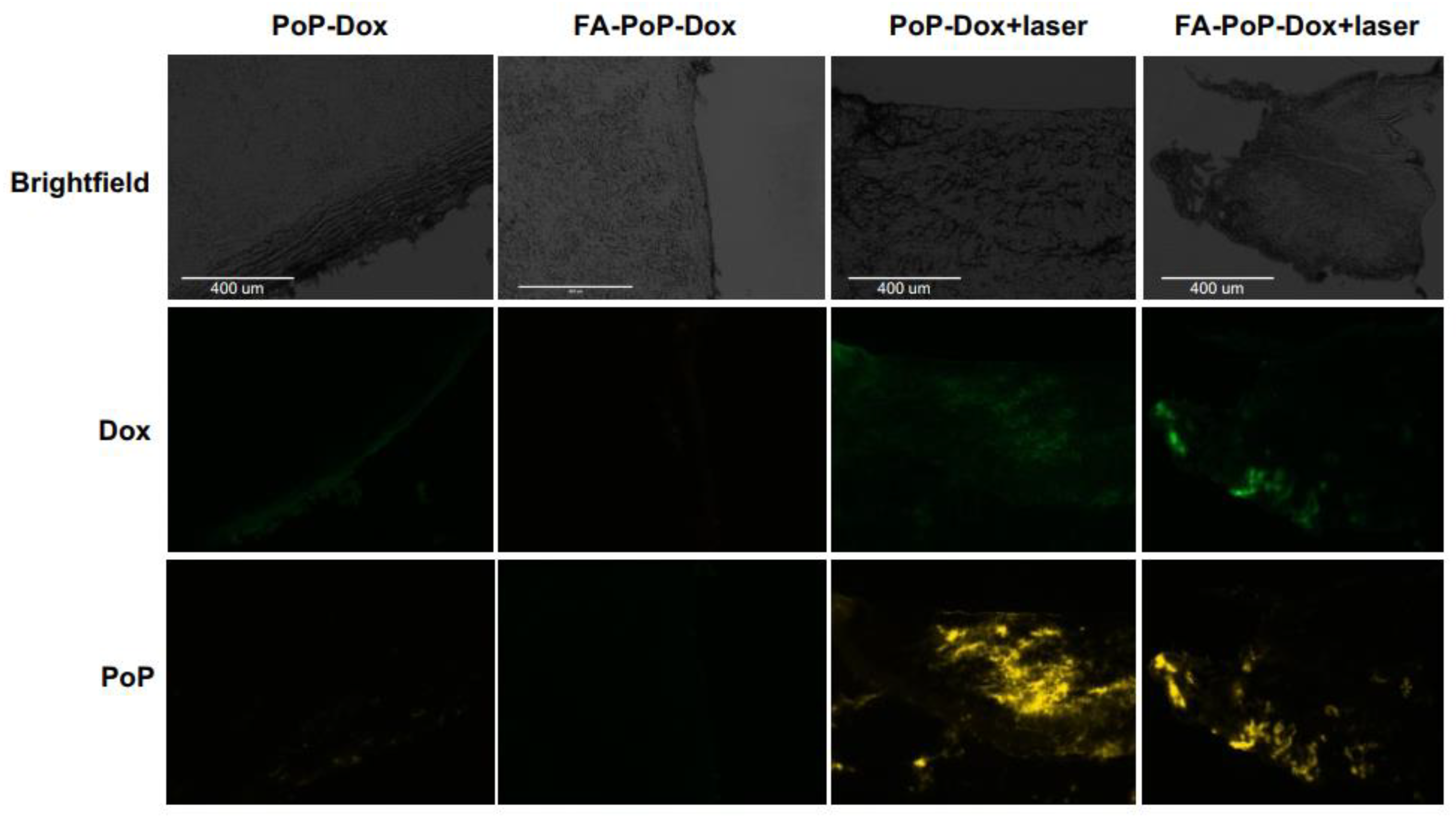 Pharmaceutics 15 02385 g005