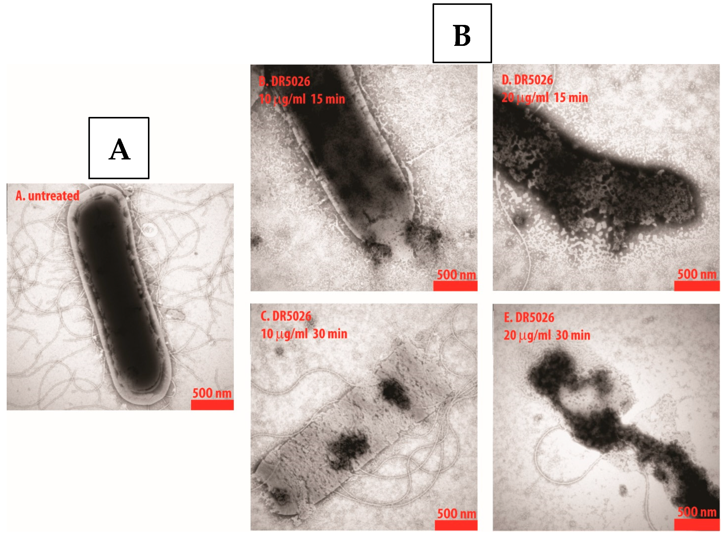 Pharmaceutics 15 02395 g002