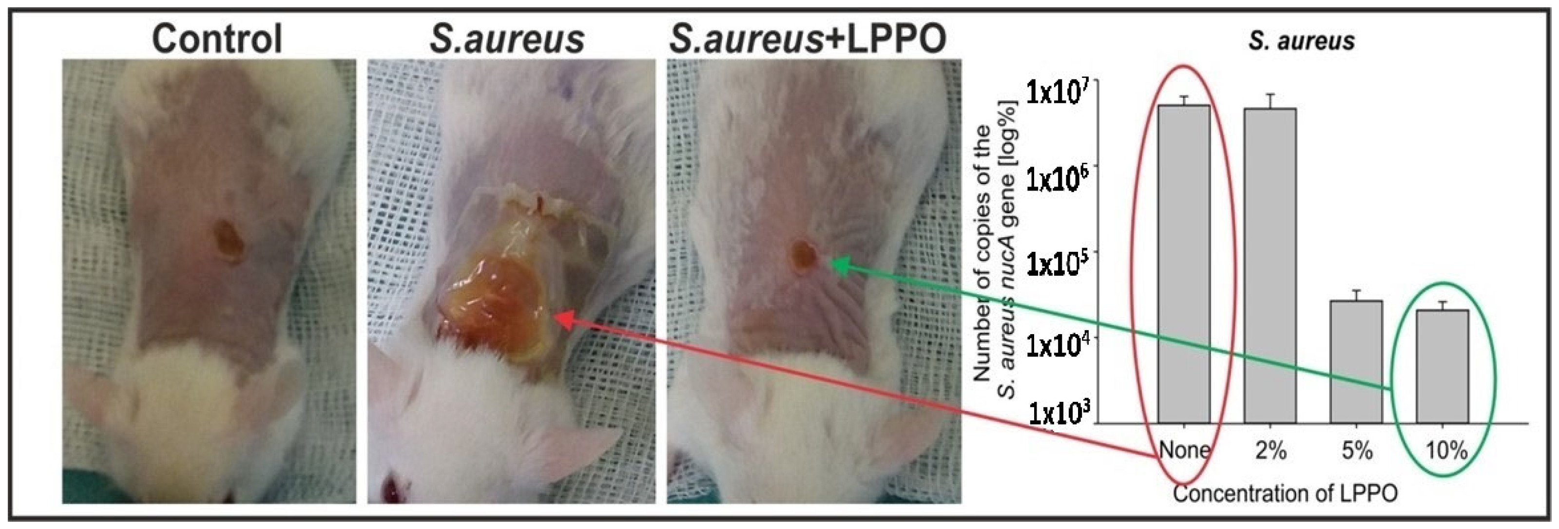 Pharmaceutics 15 02395 g004
