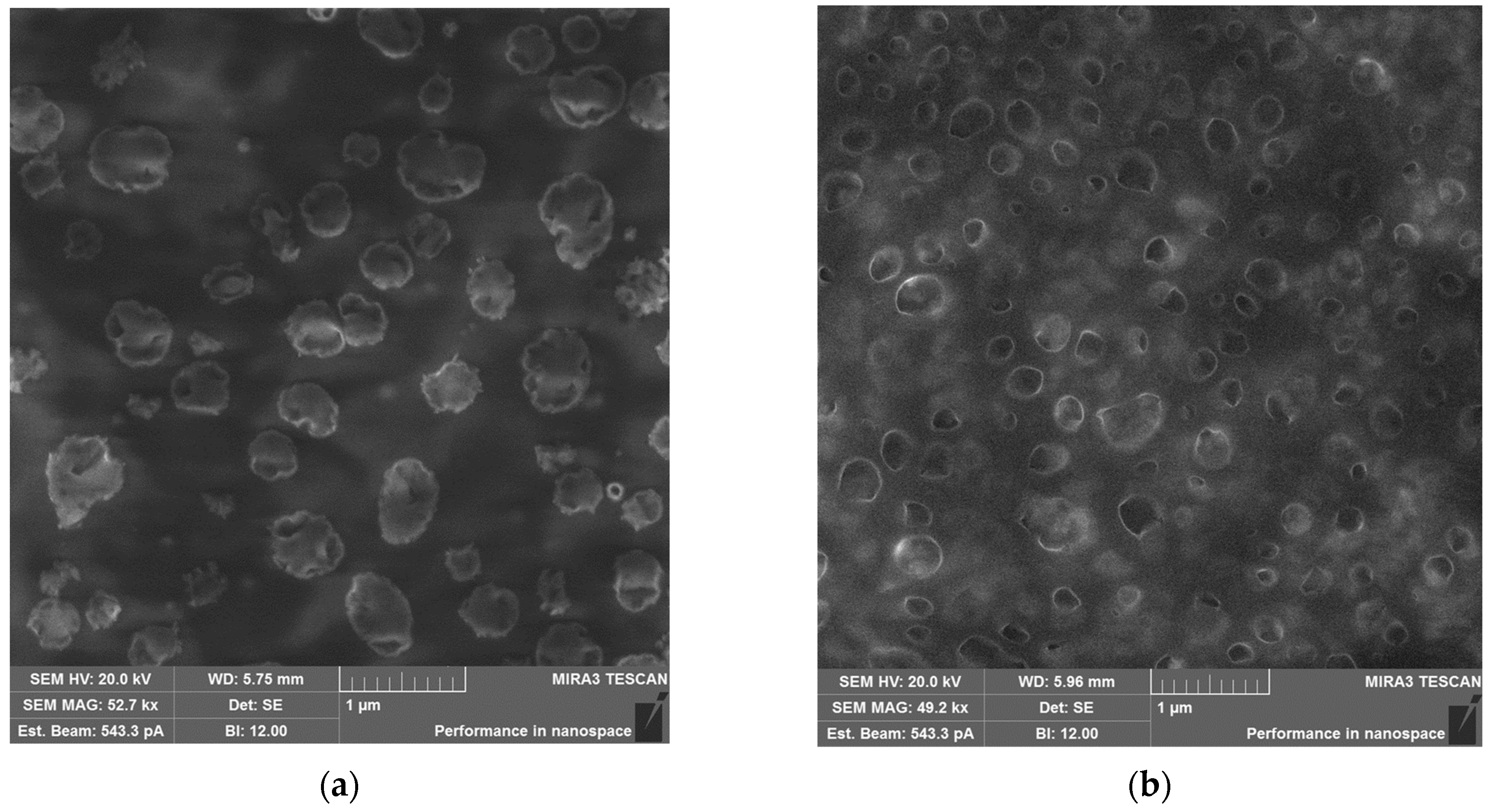 Pharmaceutics 15 02396 g004