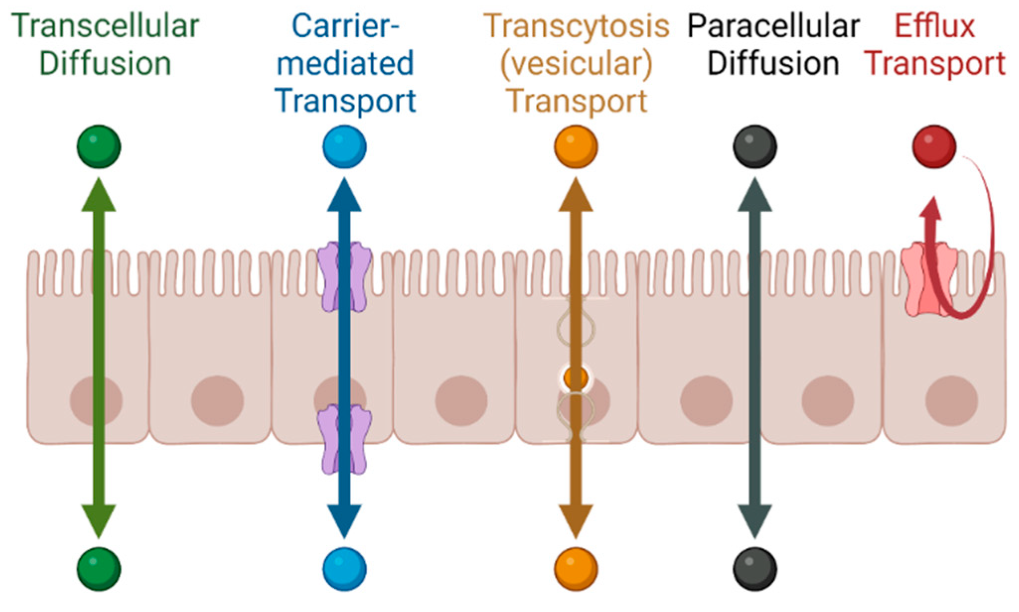 Pharmaceutics 15 02397 g001