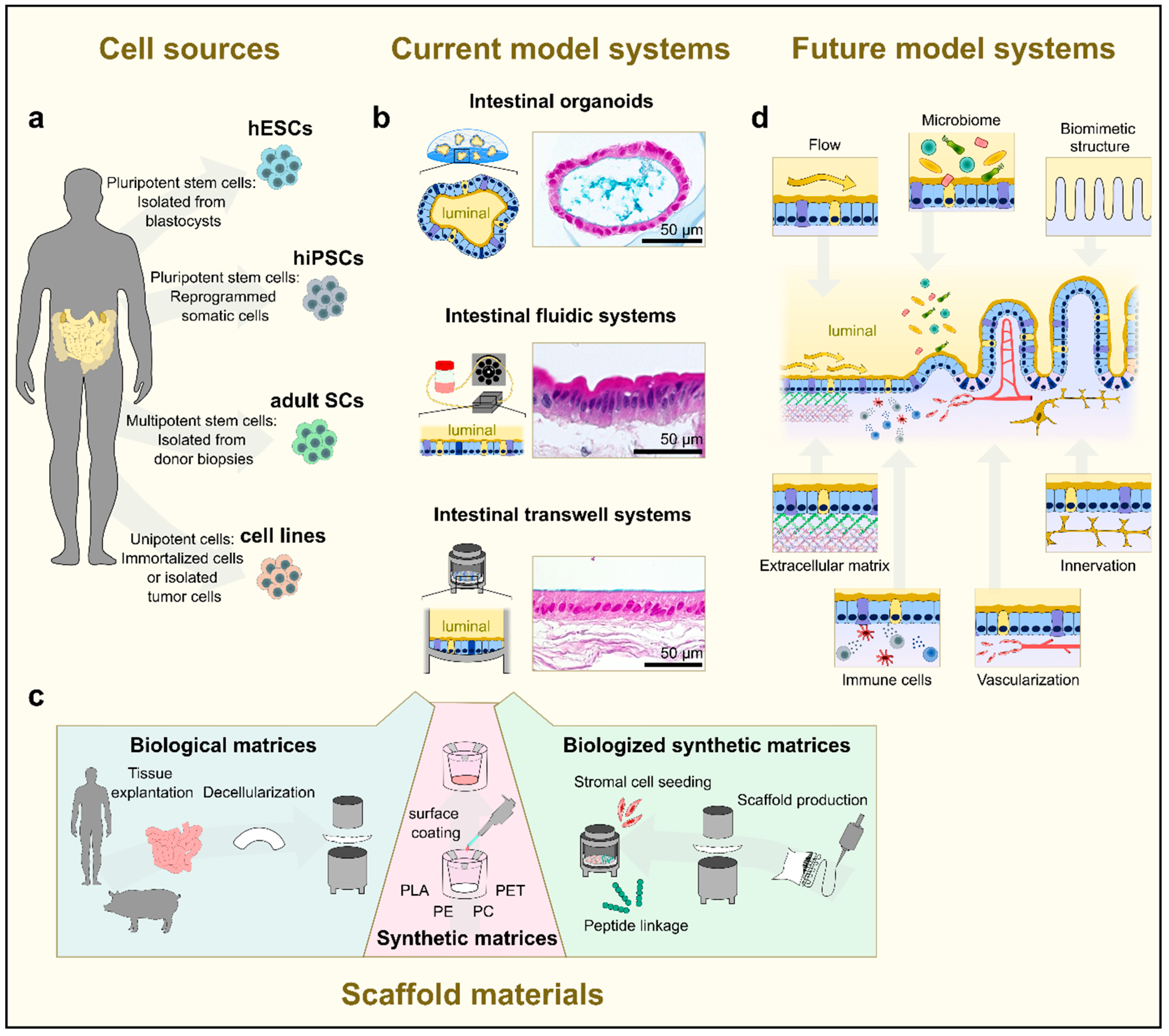 Pharmaceutics 15 02397 g003