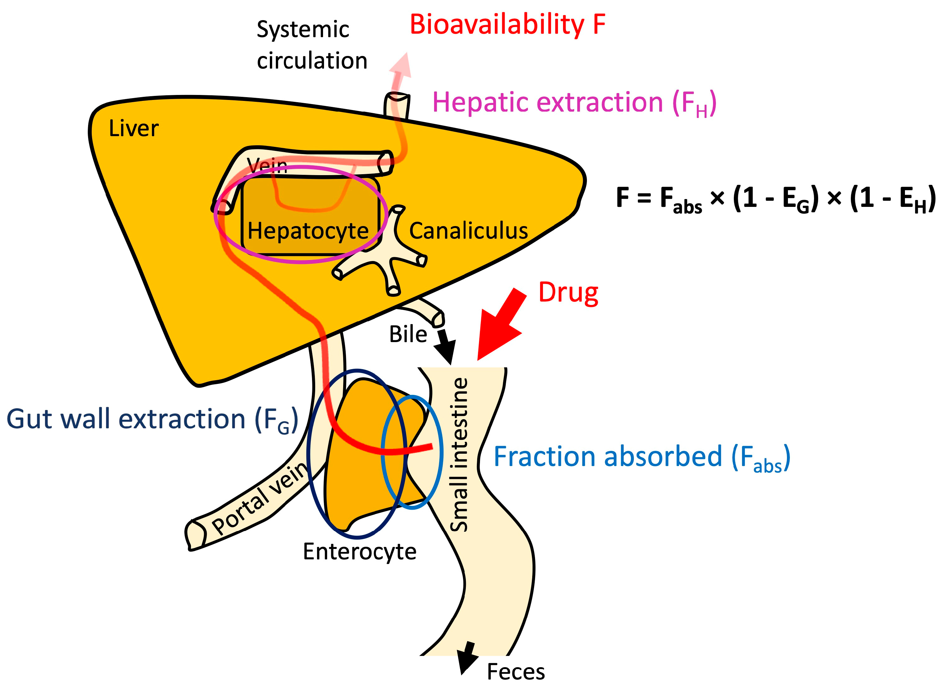 Pharmaceutics 15 02397 g008