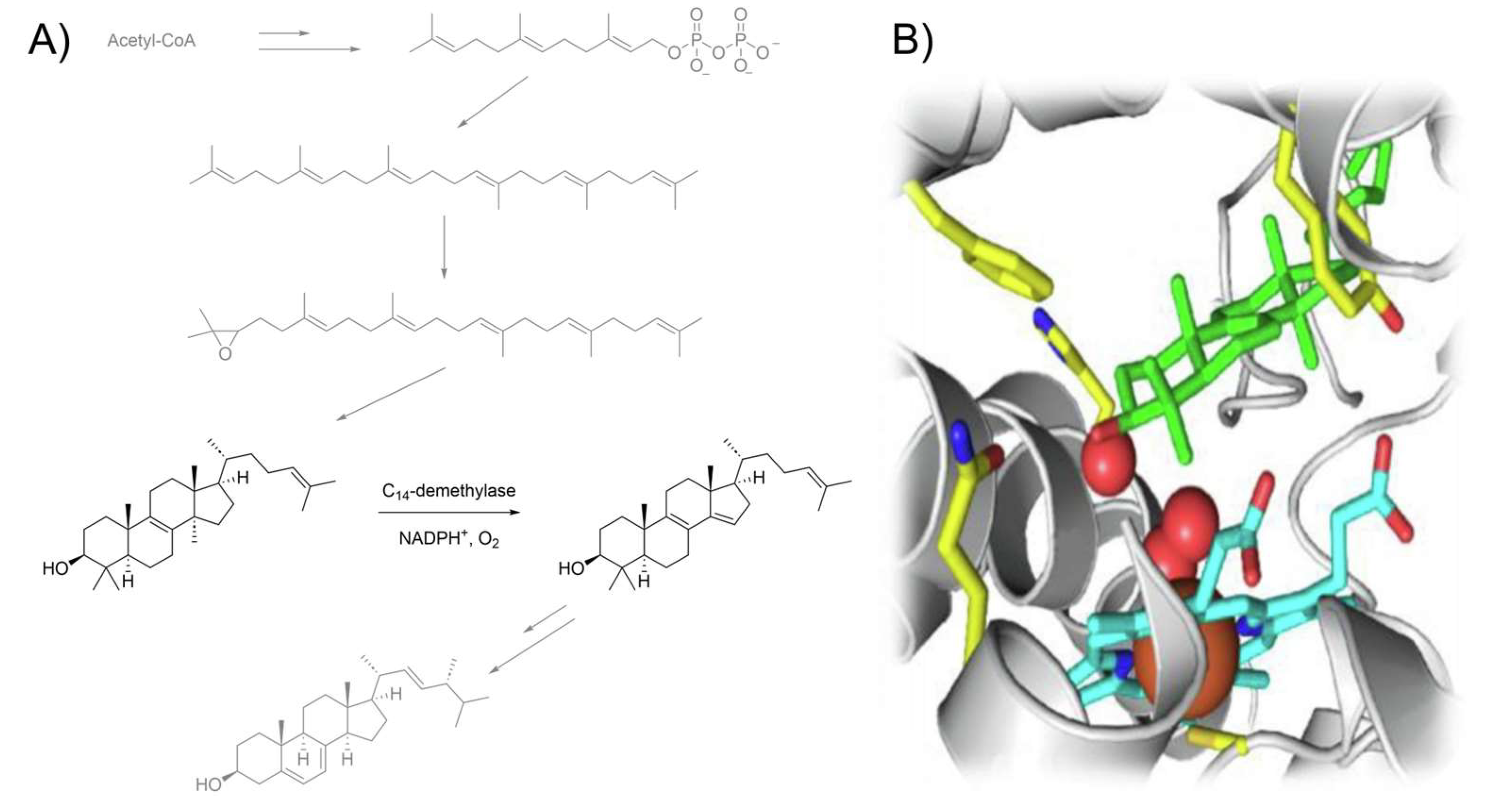 Pharmaceutics 15 02398 g001