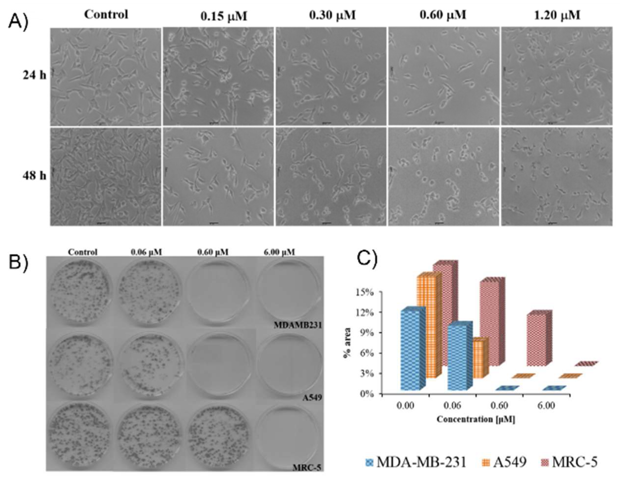 Pharmaceutics 15 02398 g006