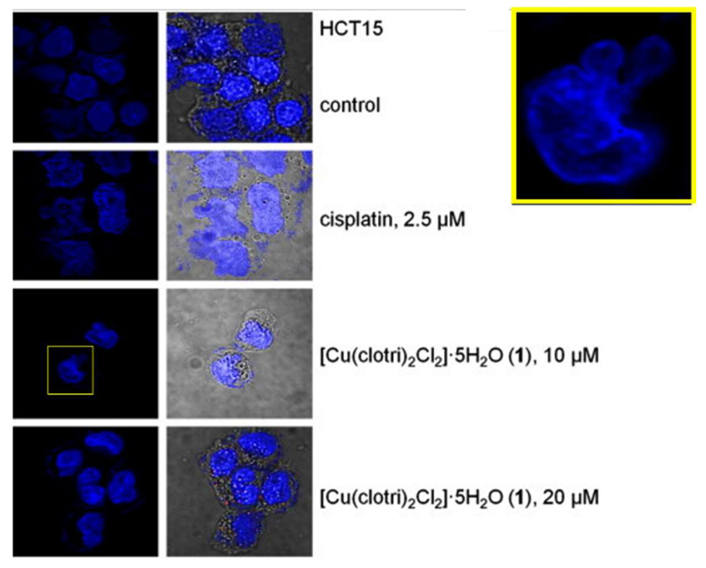 Pharmaceutics 15 02398 g007