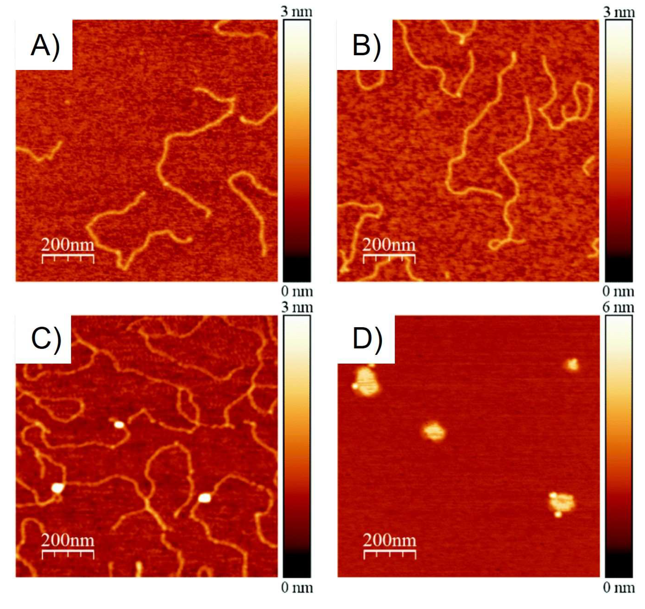 Pharmaceutics 15 02398 g008