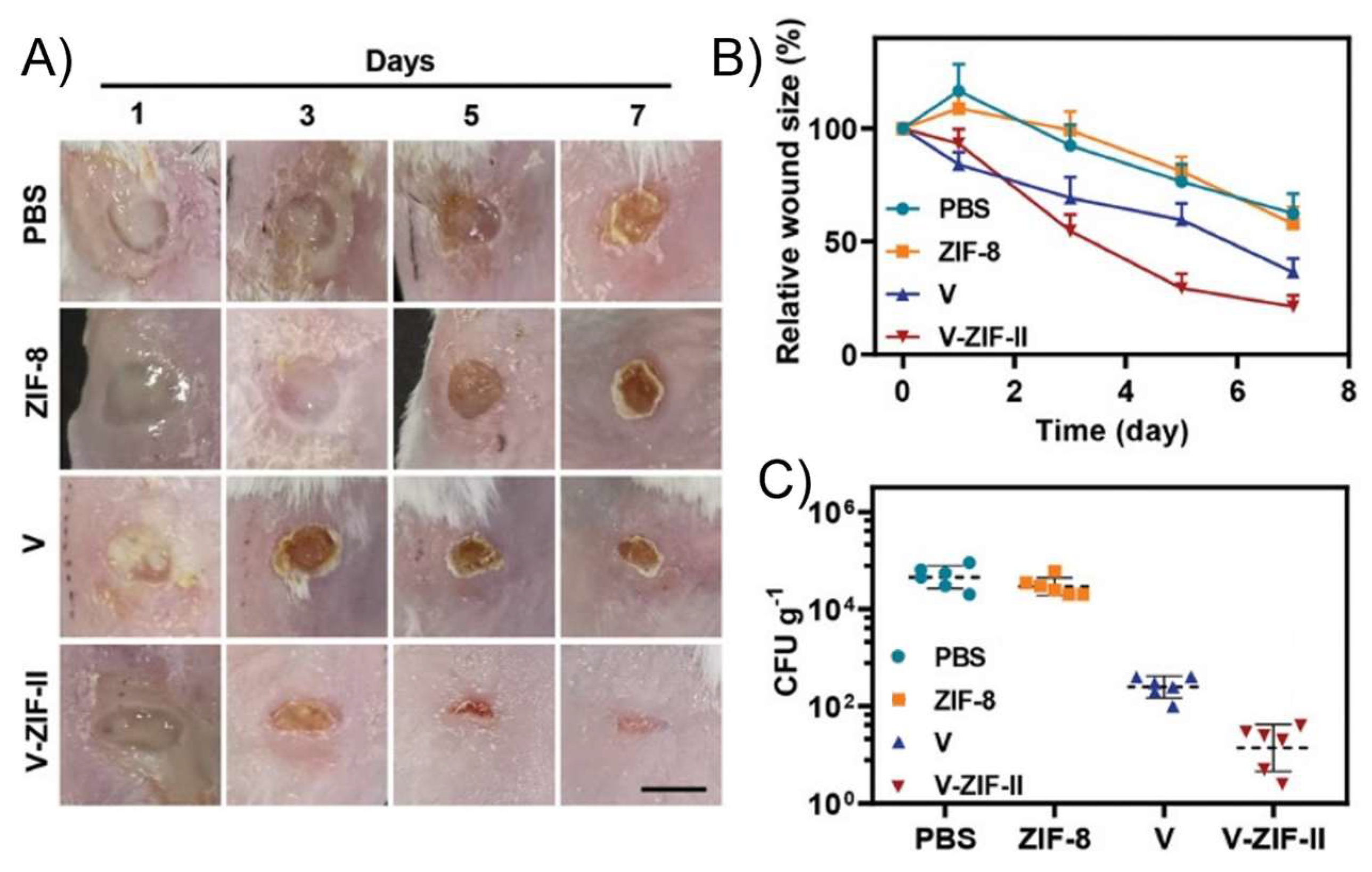 Pharmaceutics 15 02398 g014