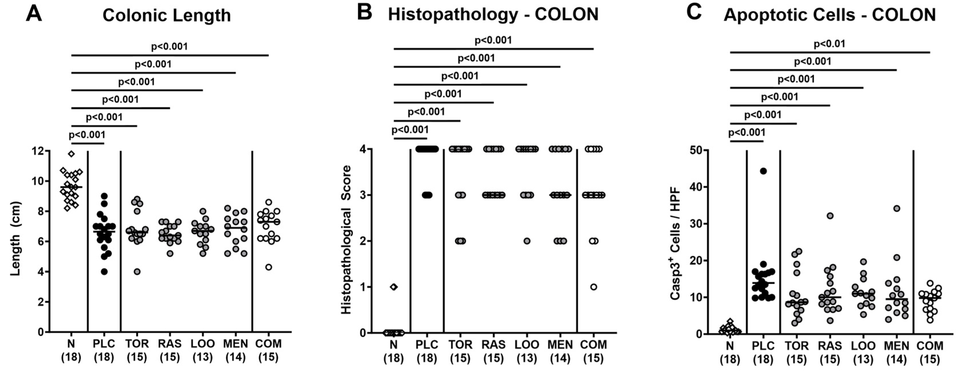 Pharmaceutics 15 02410 g005