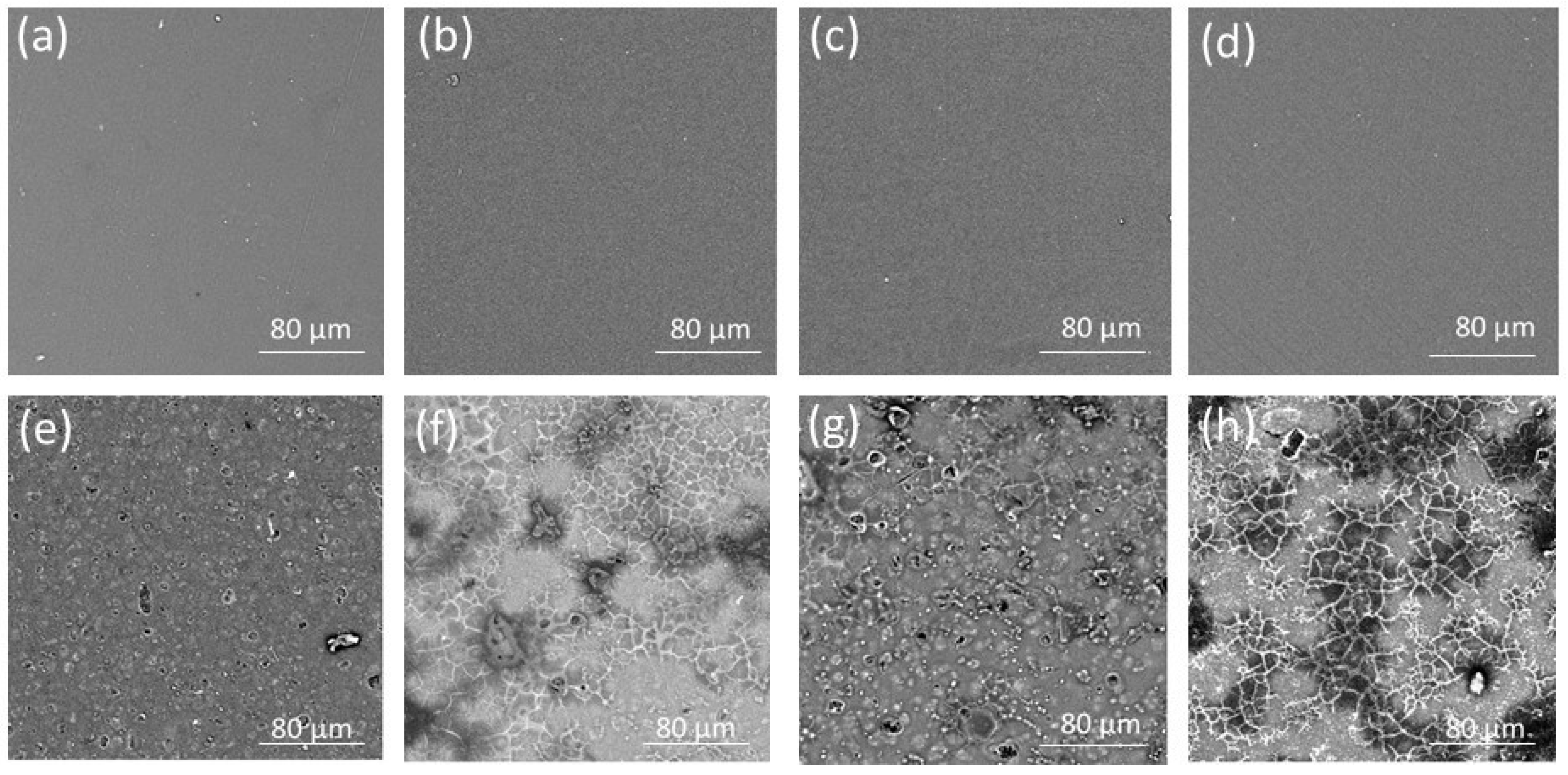 Pharmaceutics 15 02415 g003