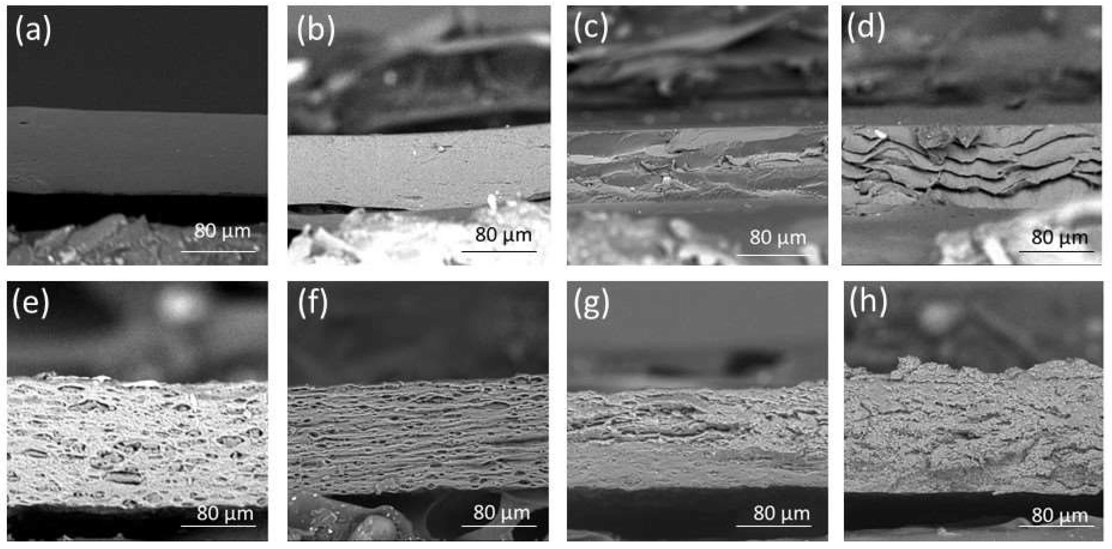 Pharmaceutics 15 02415 g004